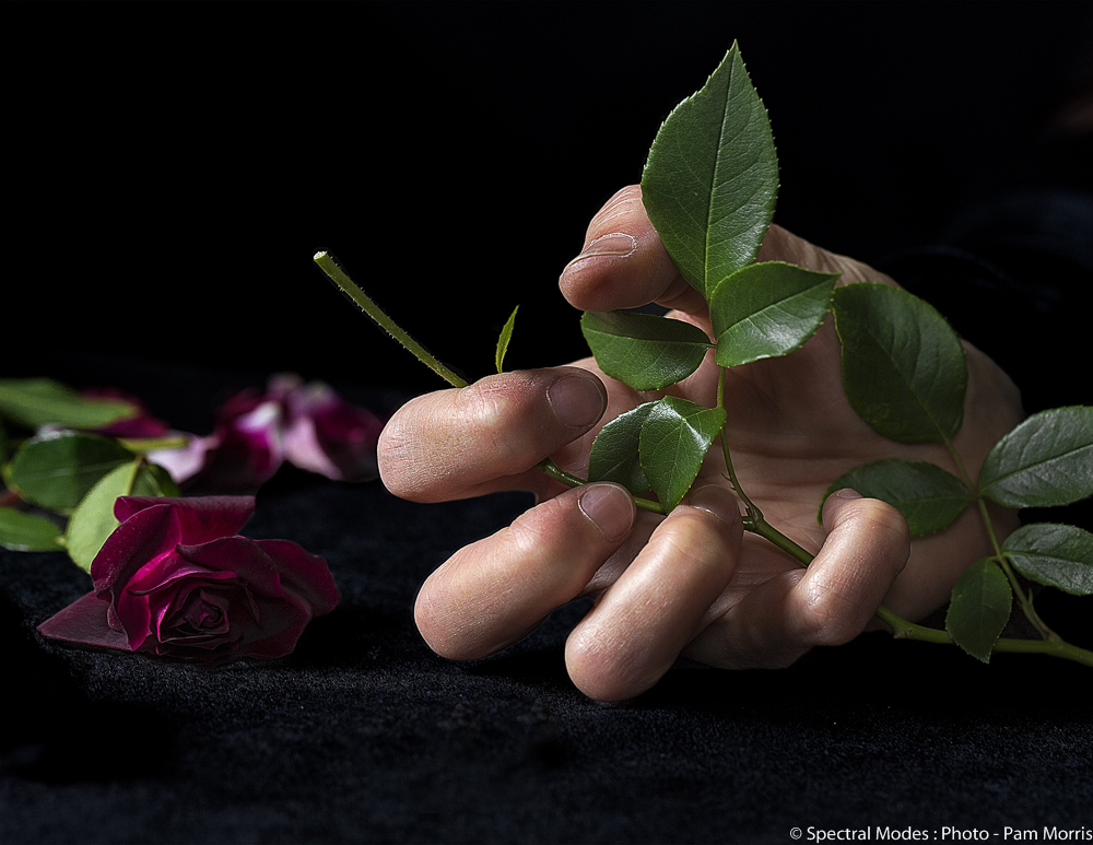 When the romance dies......