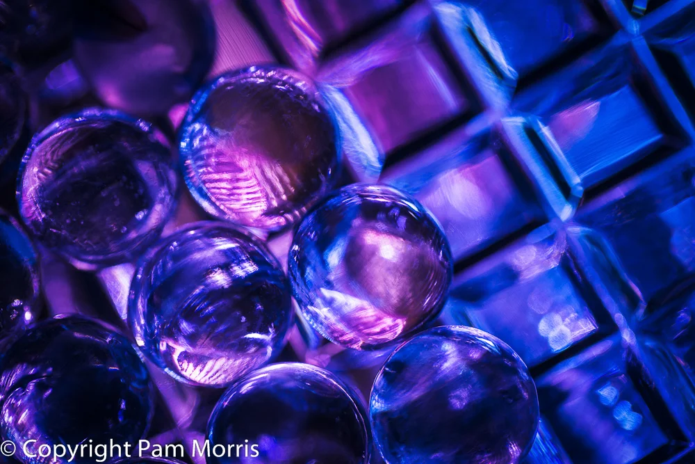 Petri Dish