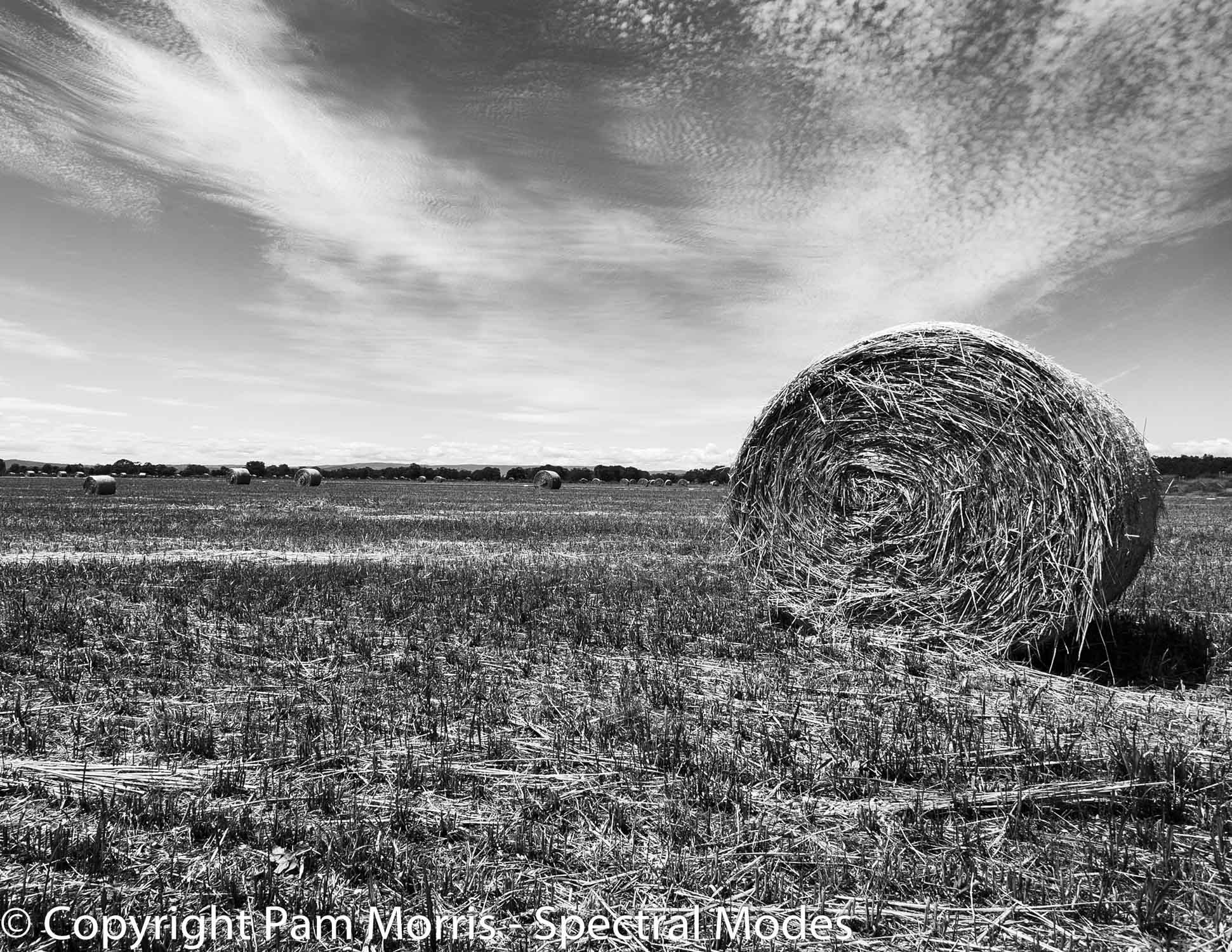 Sunny Days - Making hay while the sun shines