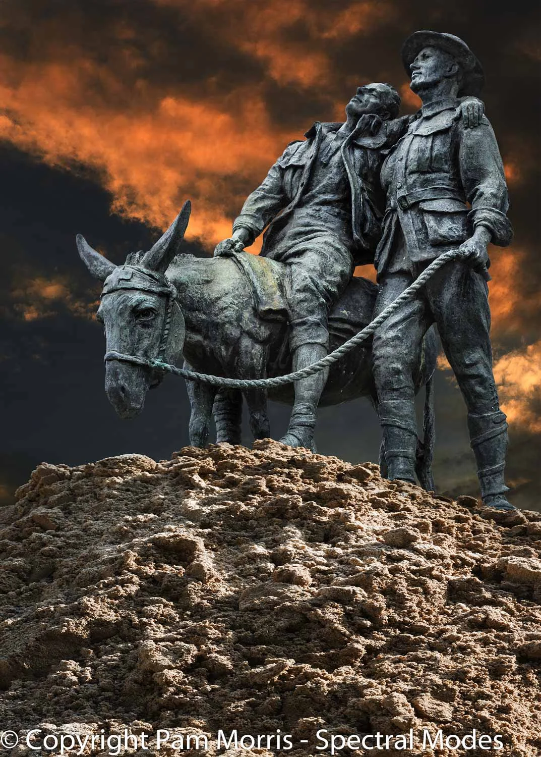 Creative Compositing exercise - Simpson and his Donkey