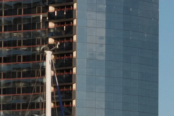A 100% crop from the photo above.