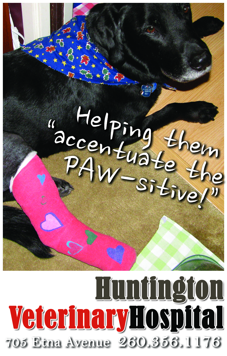 huntington veterinary summer 13.jpg