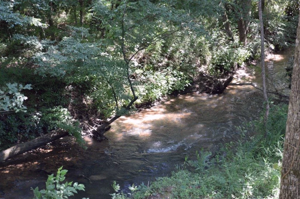 import oct 2014 163.JPG