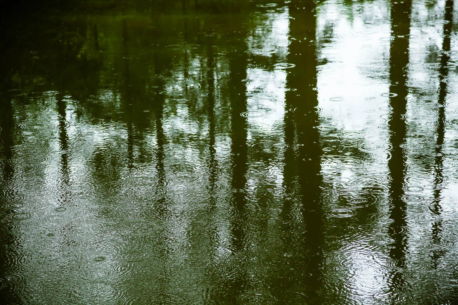 Rain Dance