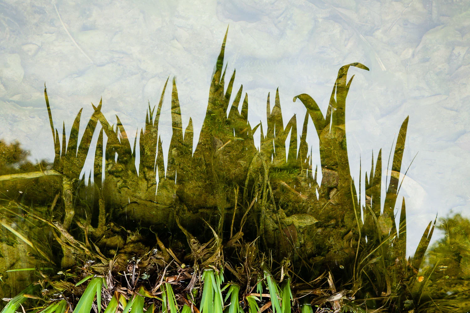 What Lies Beneath
