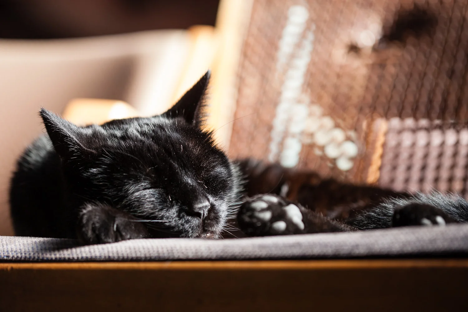 Contentment