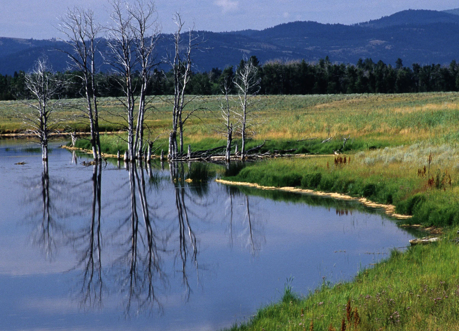 Blackfoot Valley Pond