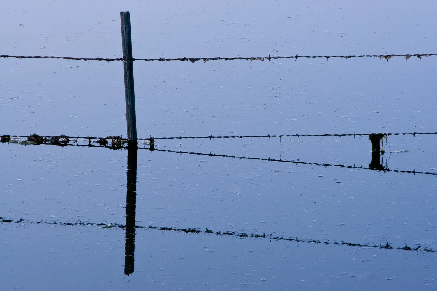 Mirrored Fence