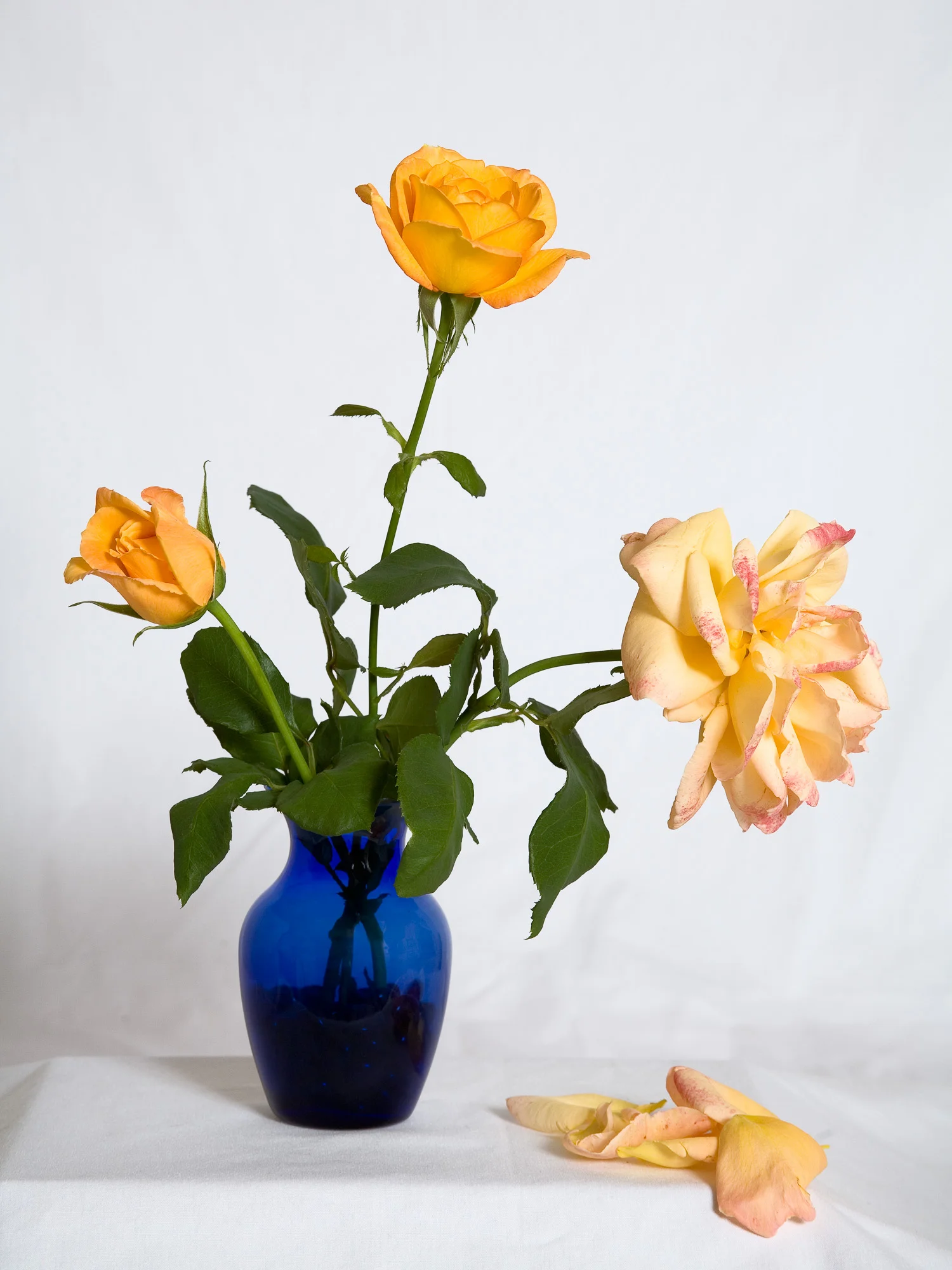 Rose Time