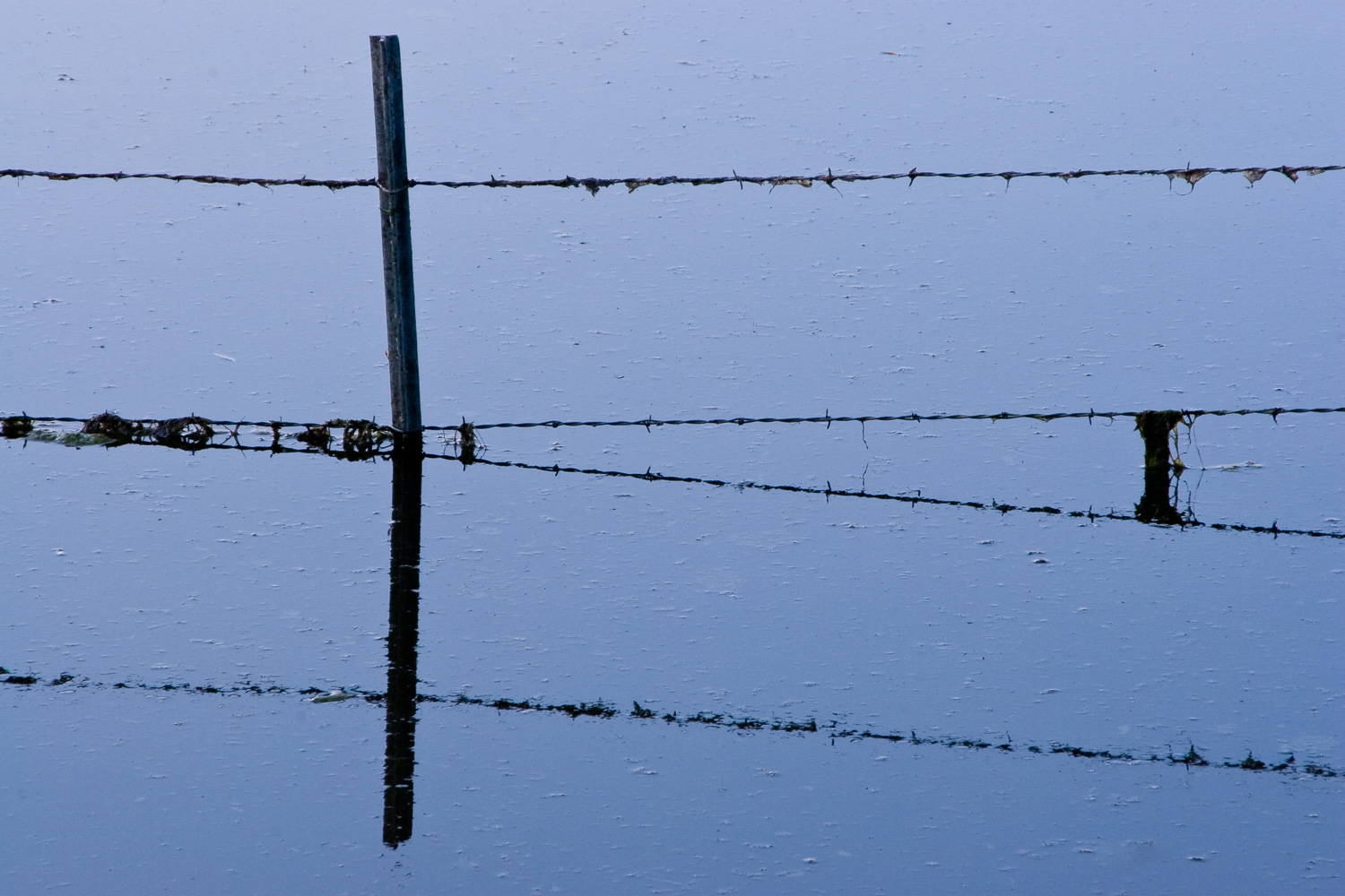 Mirrored Fence