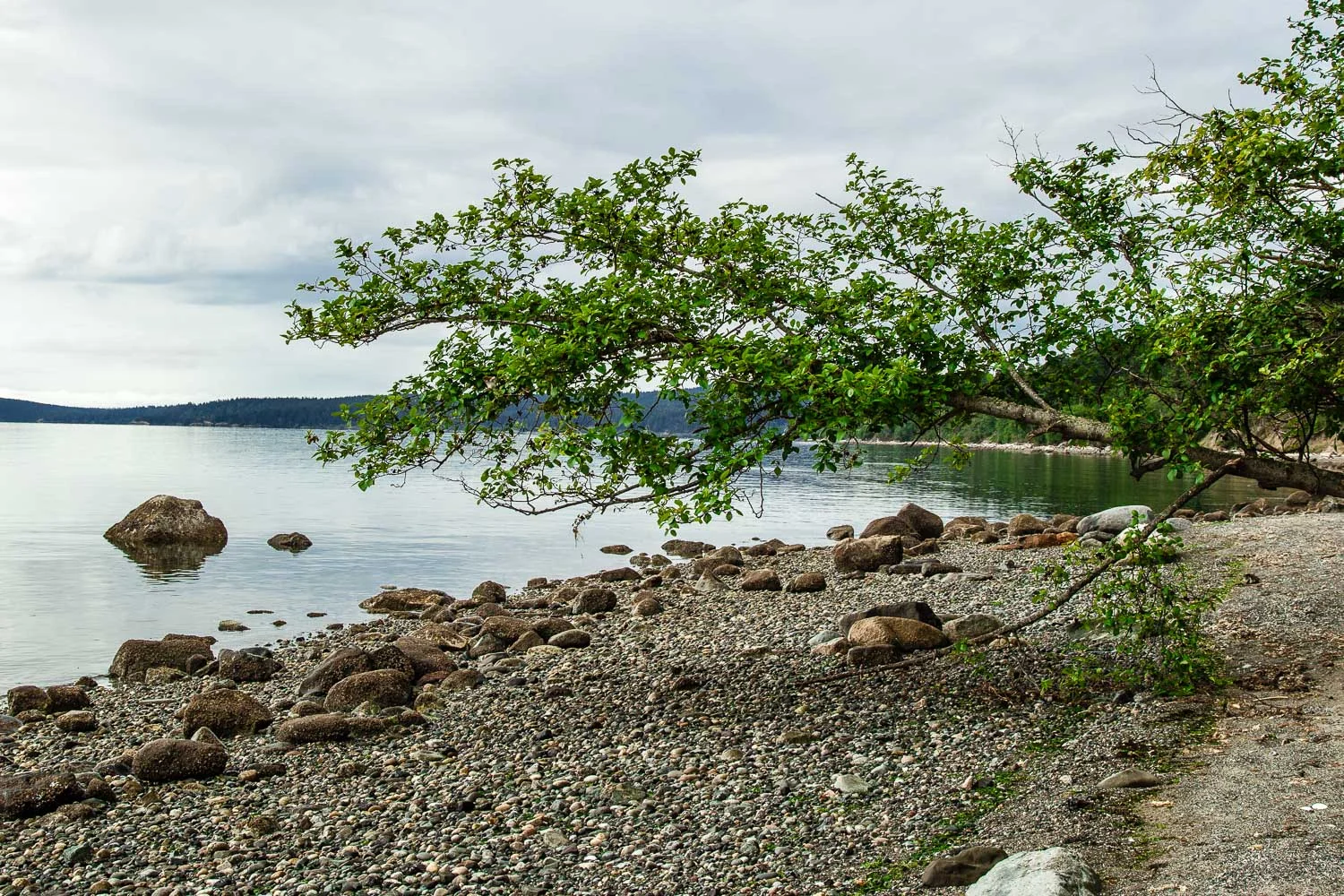 Restful II