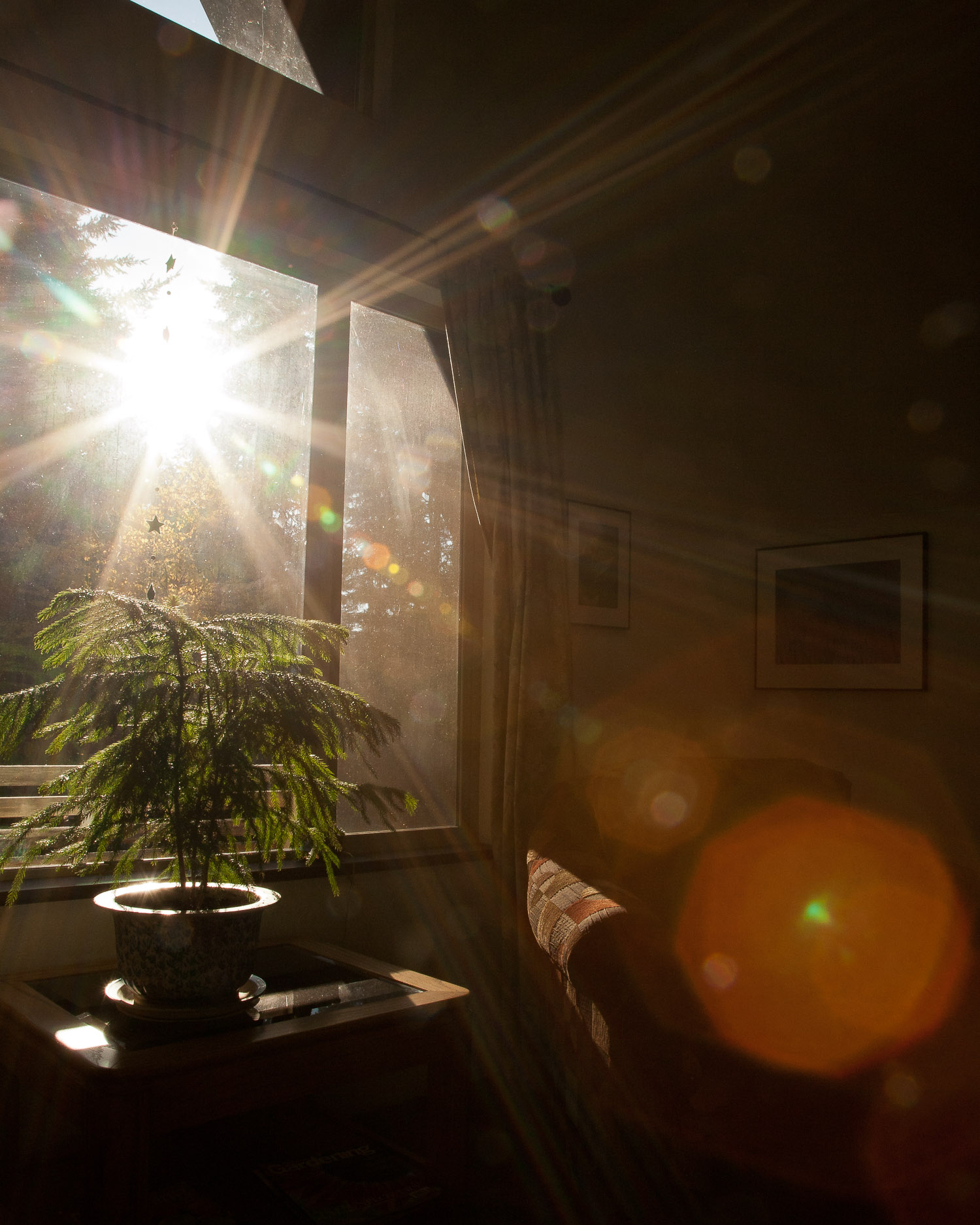 Morning Light