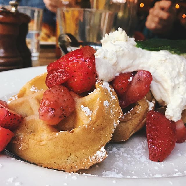 When your parents surprise you and show up in #chicago for the weekend that can only mean one thing... #treatyoself !!!
.
.
.
.

#rivernorth #brunch #frenchtoast #homemadewhipcream #NOMaste #chicagofoodie #strawberries