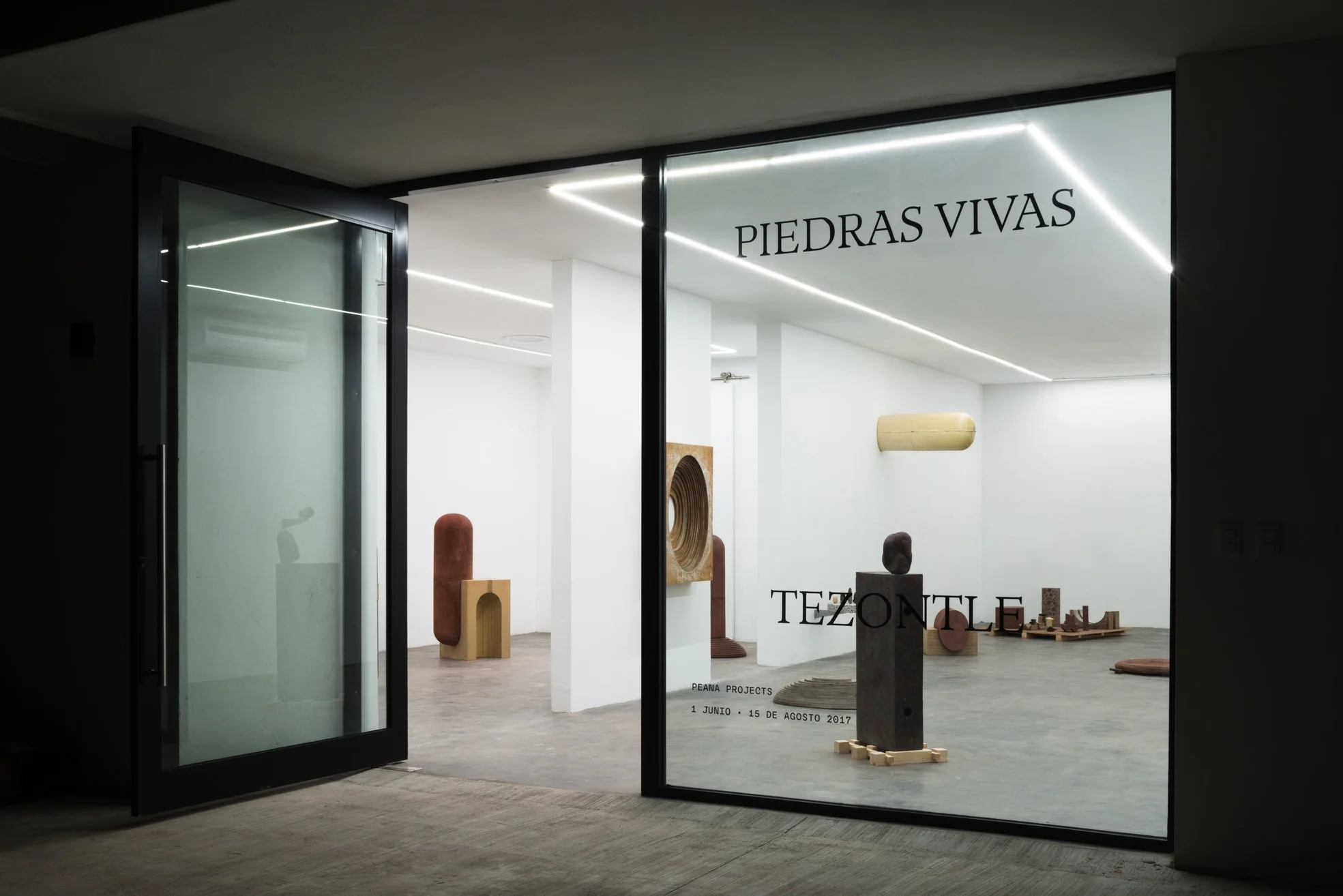 Installation view from Piedras Vivas , 2017.
