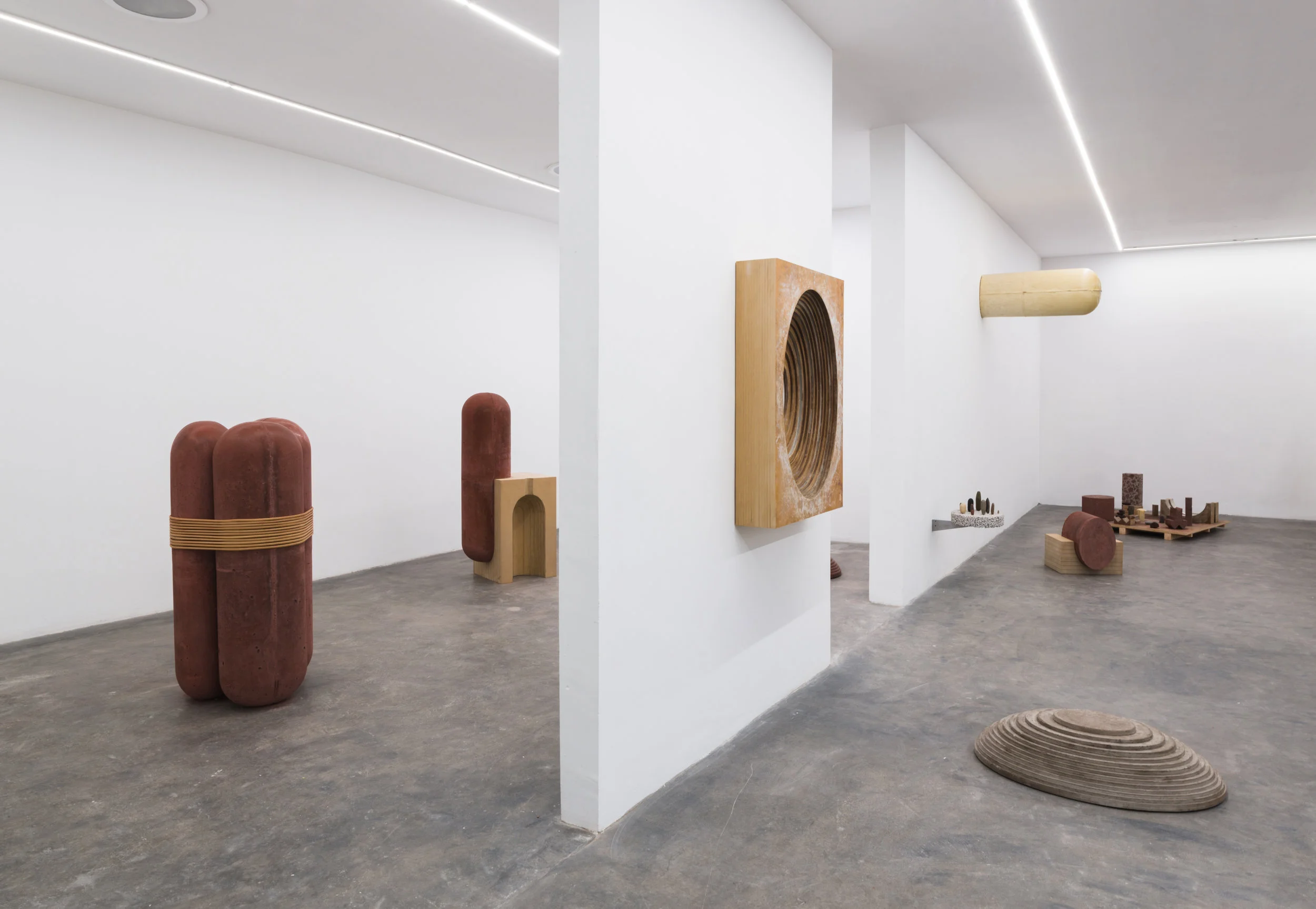 Installation view from Piedras Vivas , 2017.