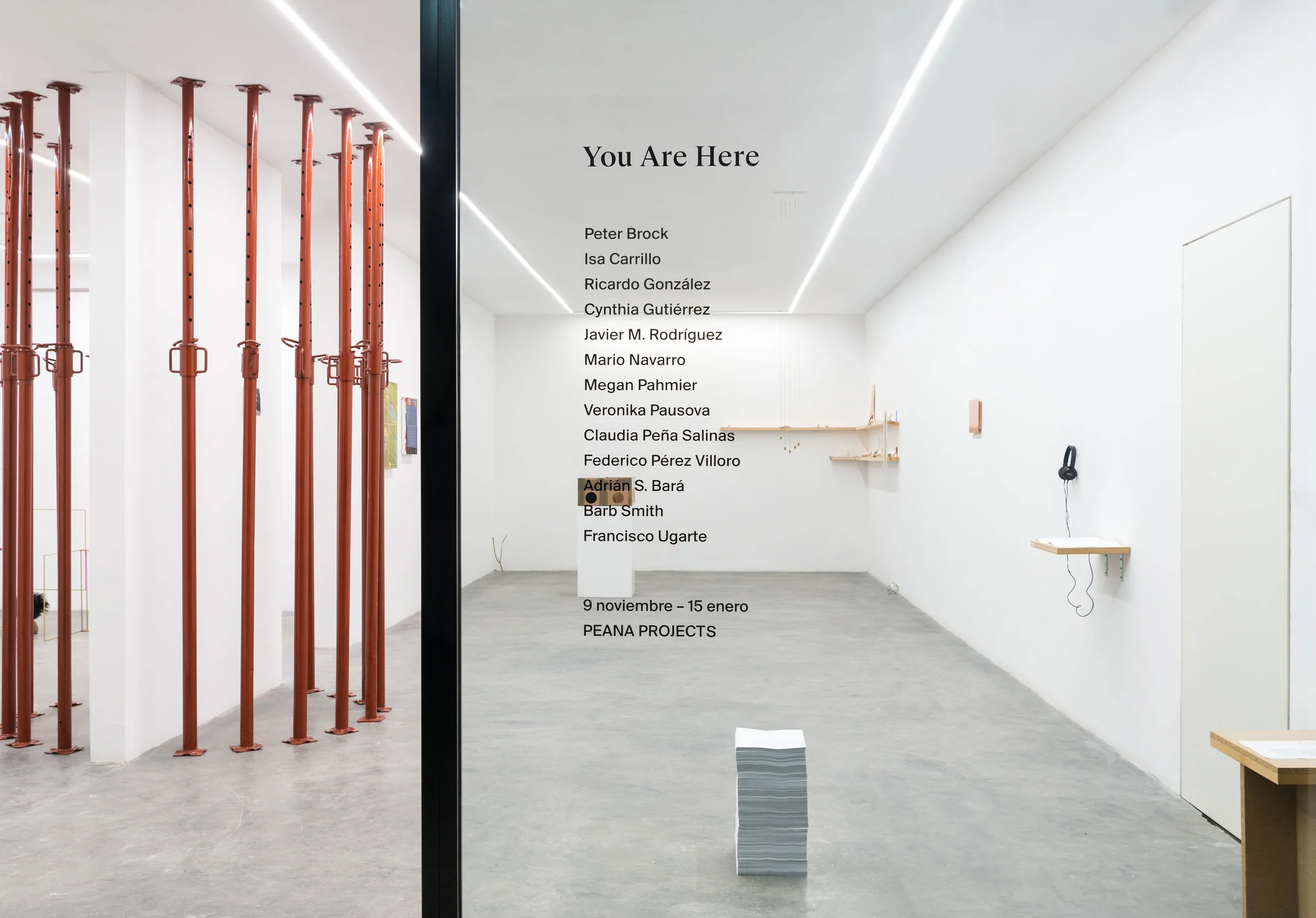 Installation view from You Are Here , 2017.