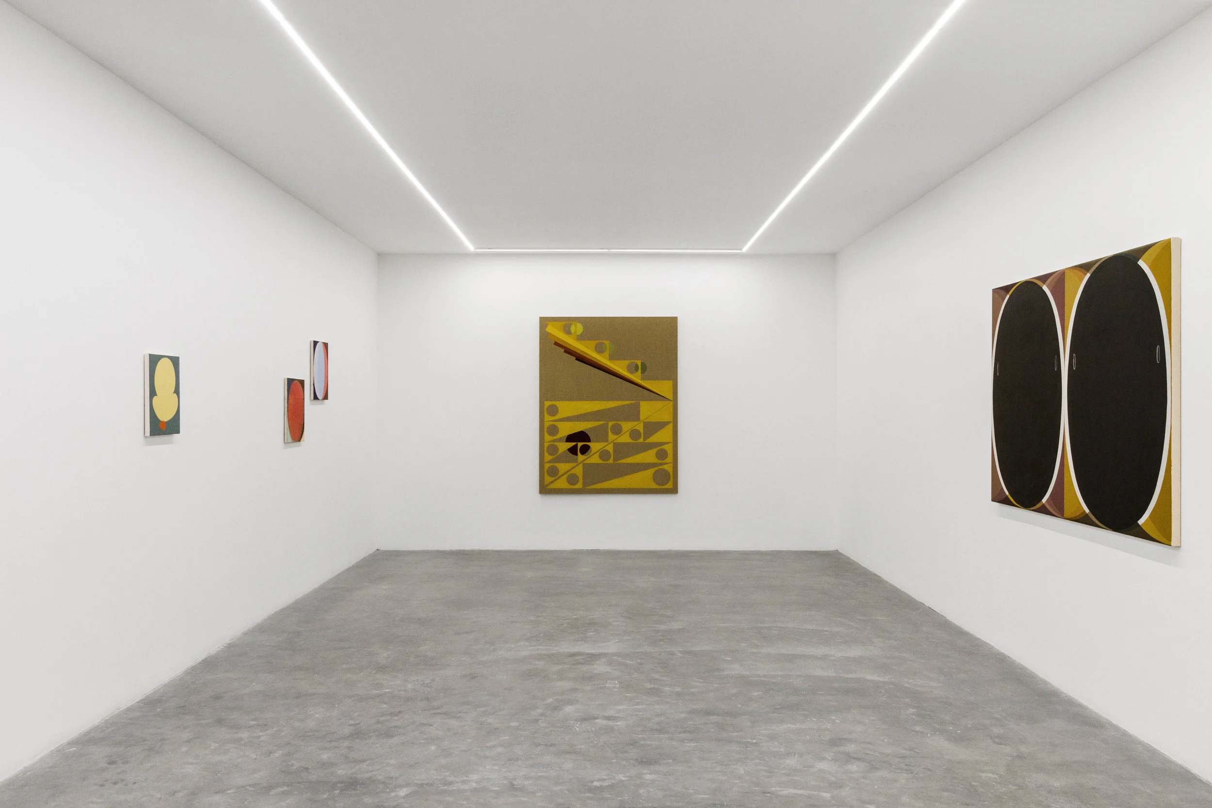 Installation view from Common Forms , 2018.