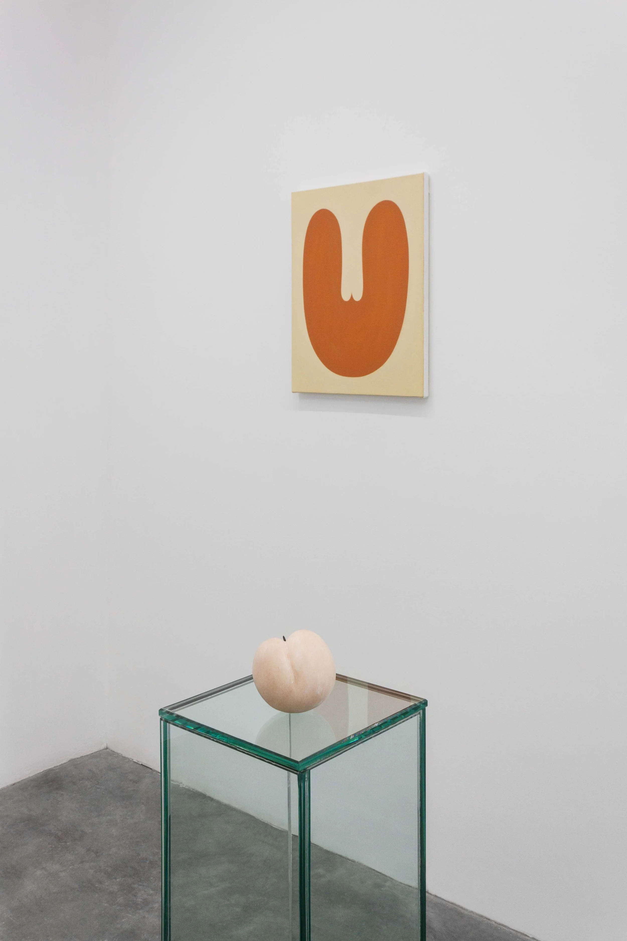 Installation view from Common Forms , 2018.