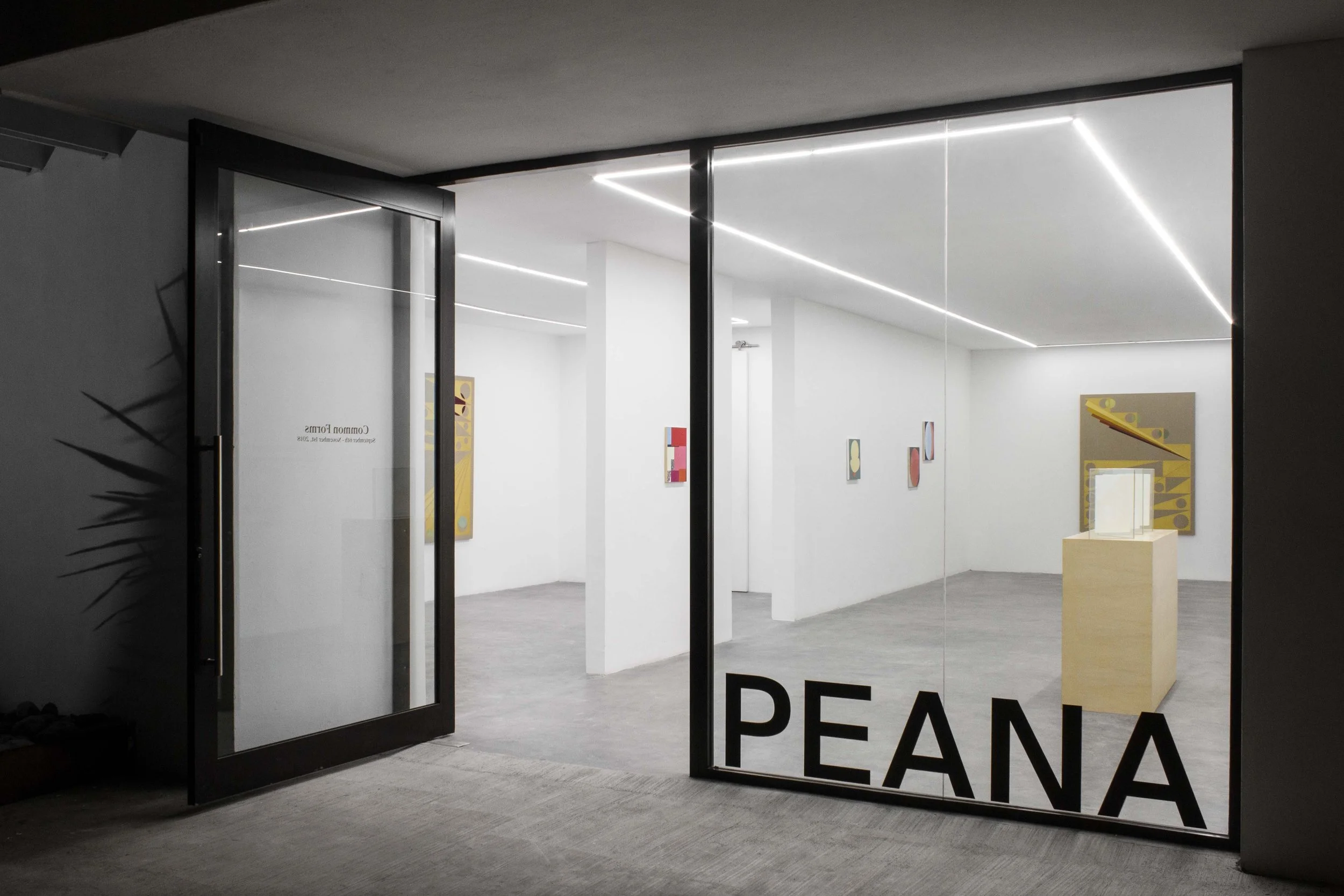Installation view from Common Forms , 2018.