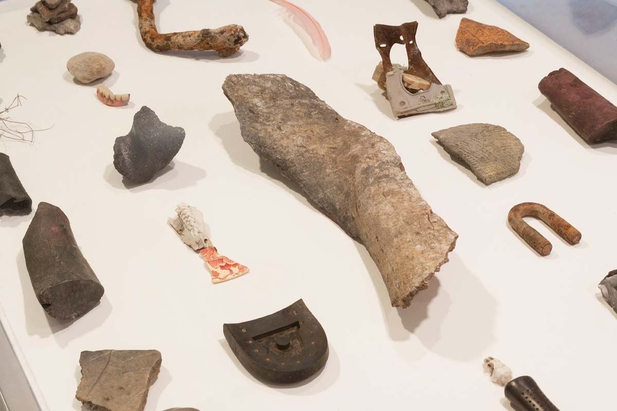 Ernesto Solana, Exhibit I (Anthropocene Studies), 2018. 35 found objects, 124 x 74 x 88 cm. (49 x 29 x 34 in.)