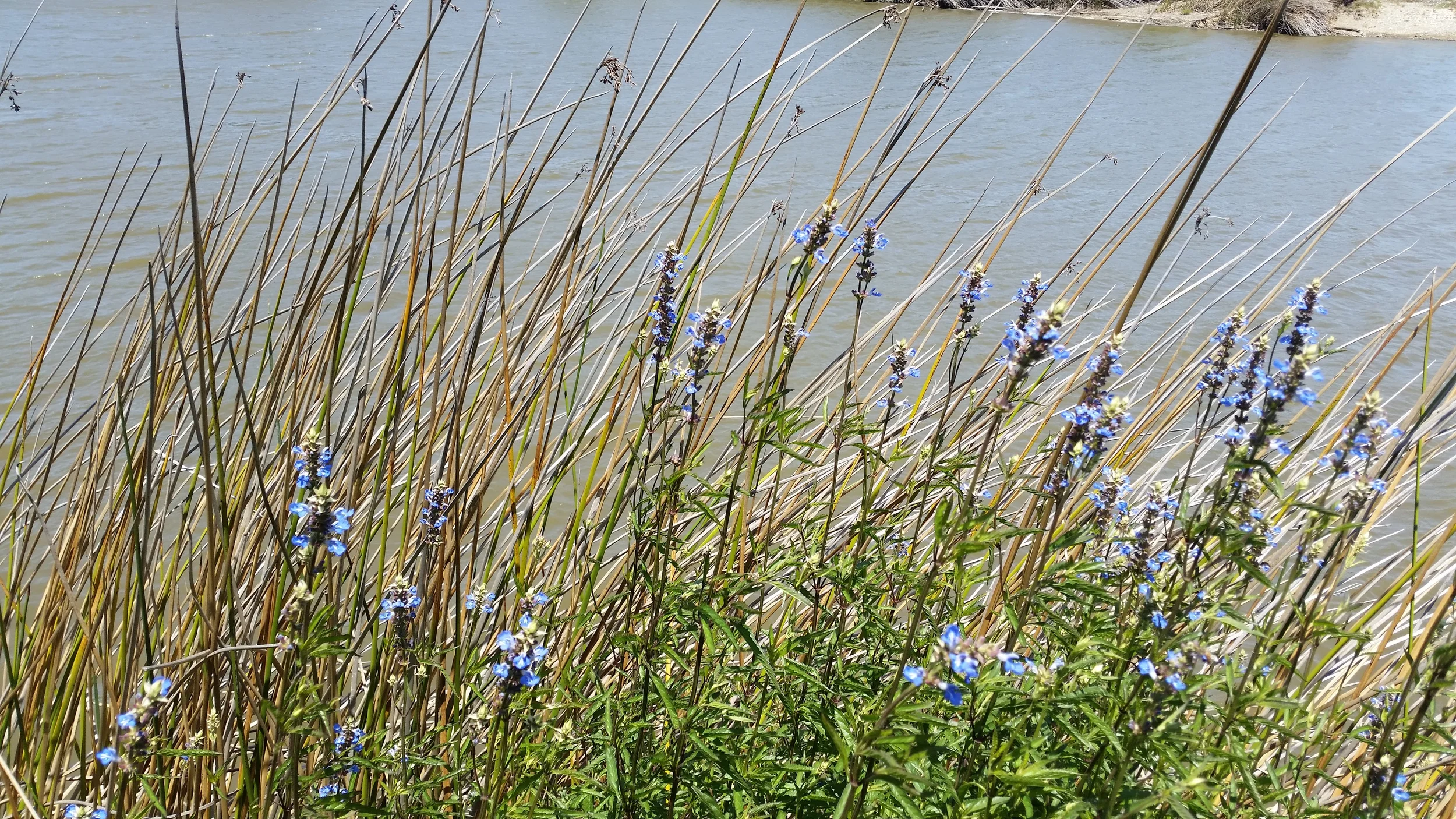 20140523_132926.jpg