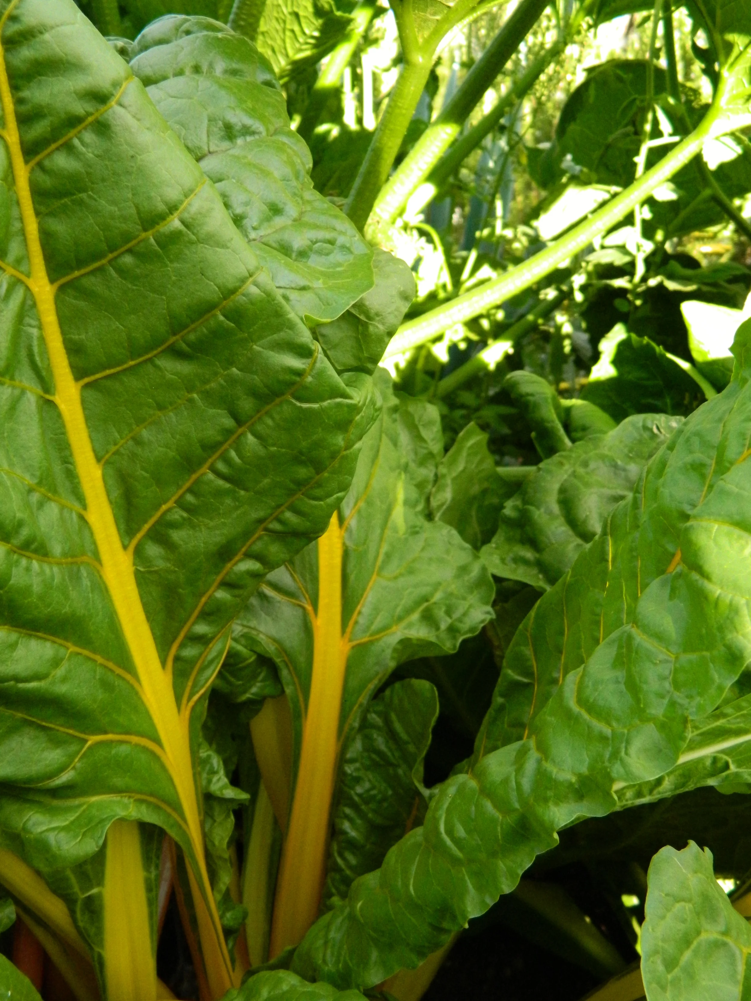 DSCN4510.JPG