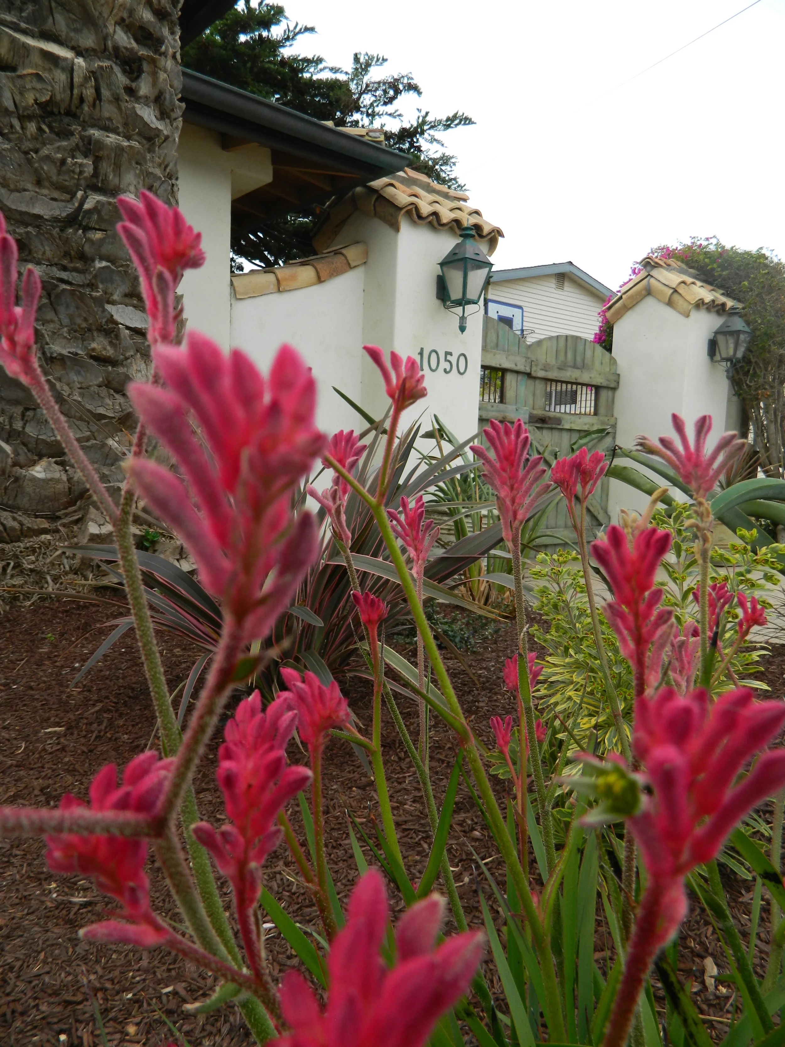 DSCN3765.JPG