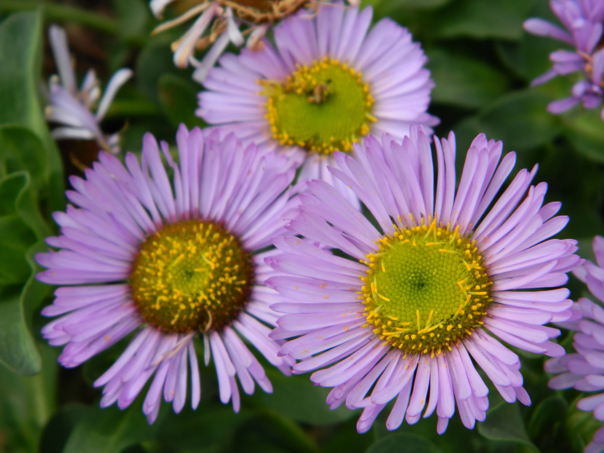 DSCN3761.JPG