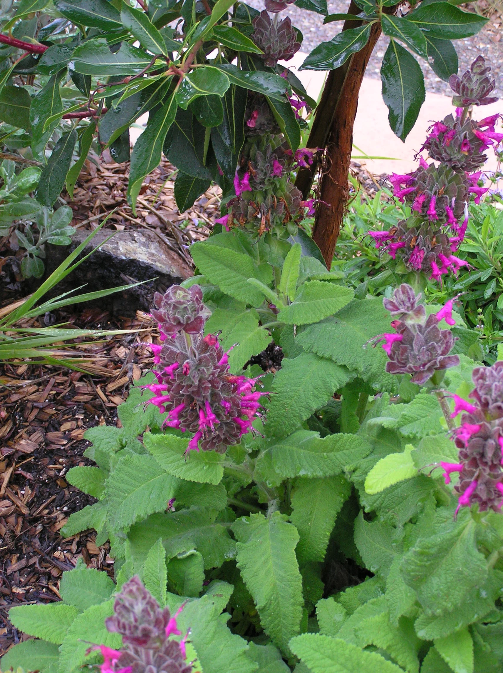 Website Pics 1 014.jpg