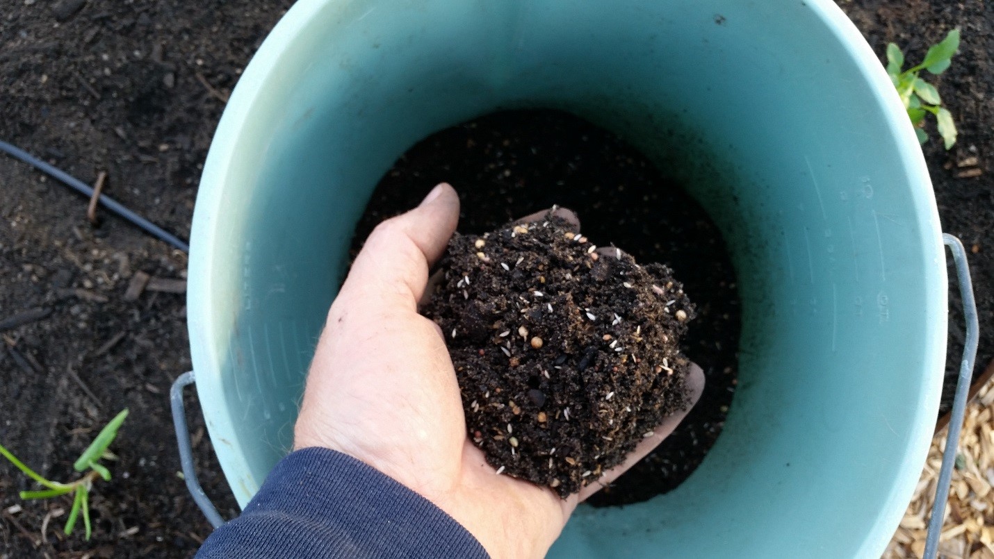 Next, mix together all of your seed packets that will be evenly broadcasted over your veggie beds.