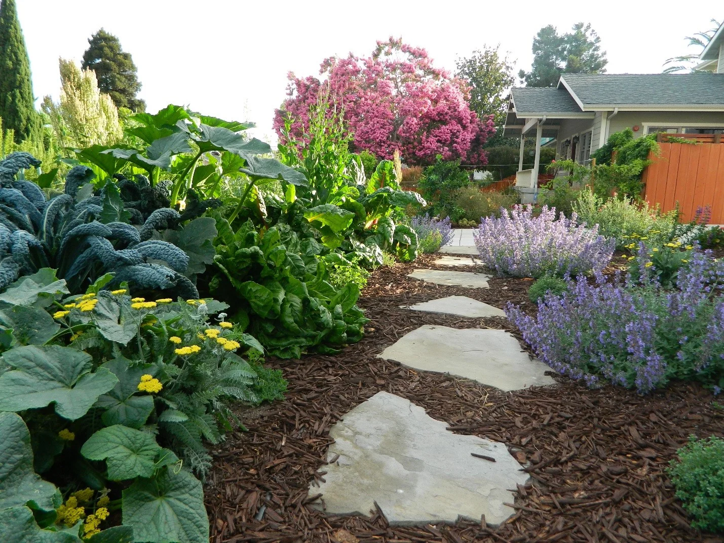Here is a interplanted veggie garden using “Keyhole” planter beds loaded with perennial edibles like kale, chard, thyme, and oregano. Growing different size plants next to each other uses the planting space most efficiently as they can fill out their own niches.