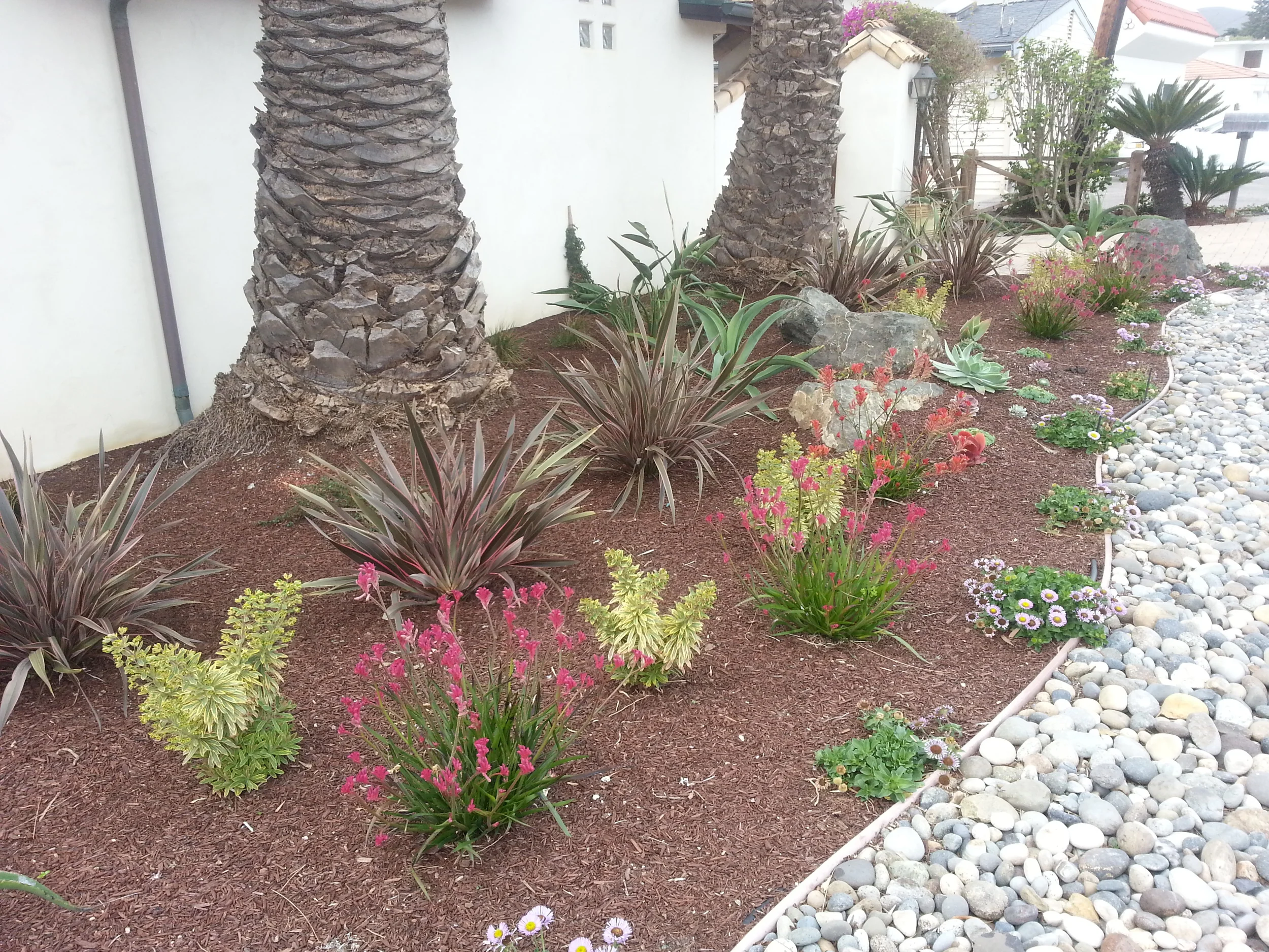 20140218_123730.jpg