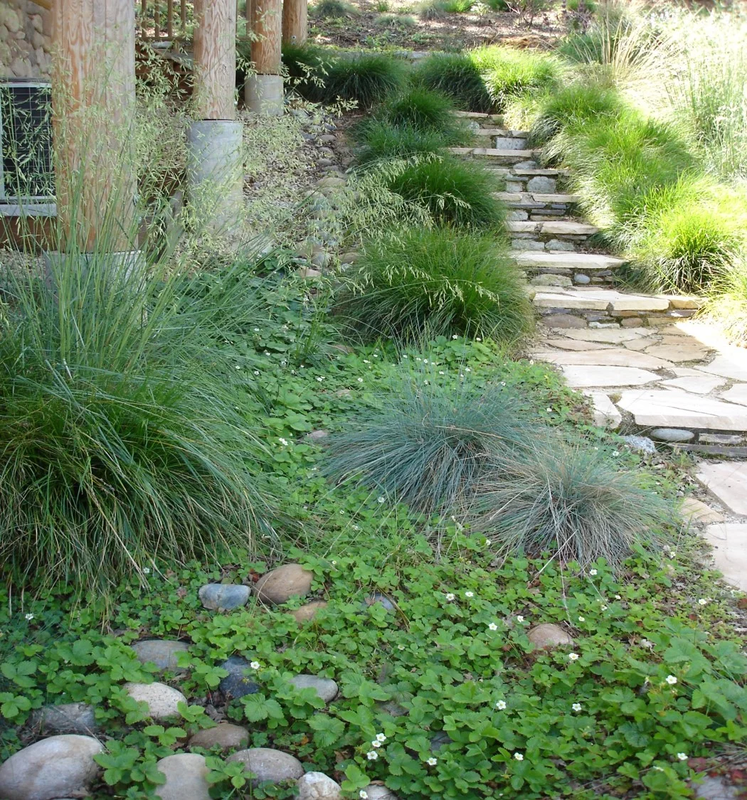 Picture8.jpg