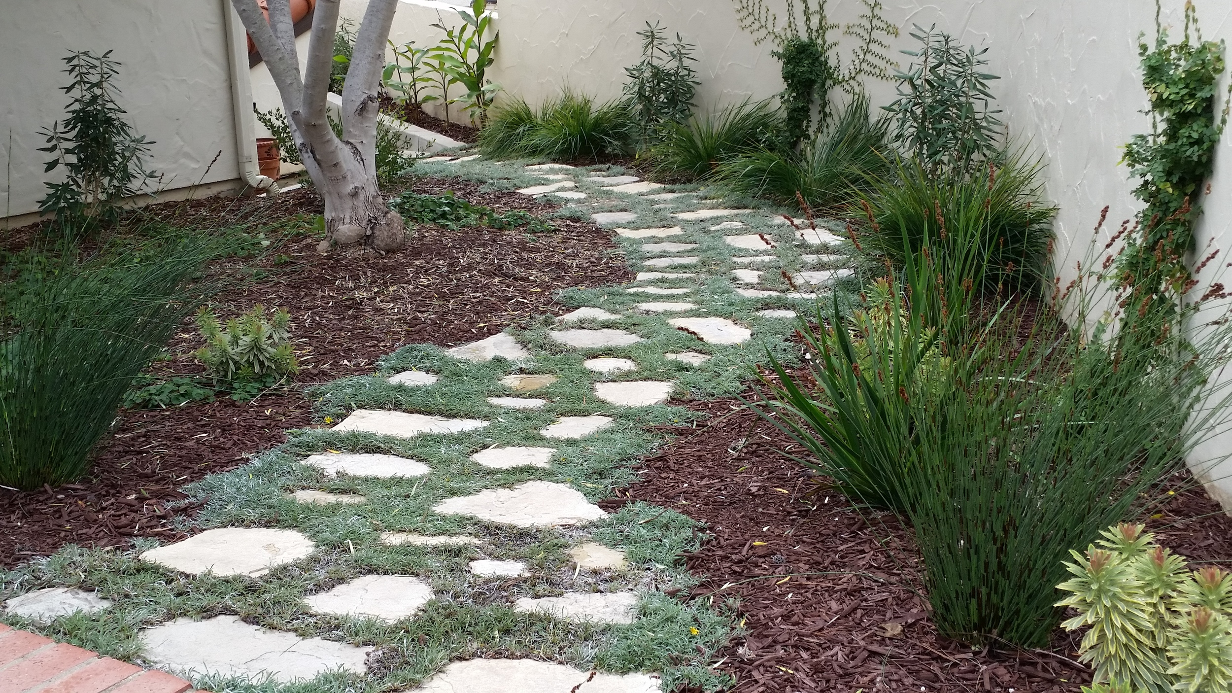 Flagstone Path with Planted Grout
