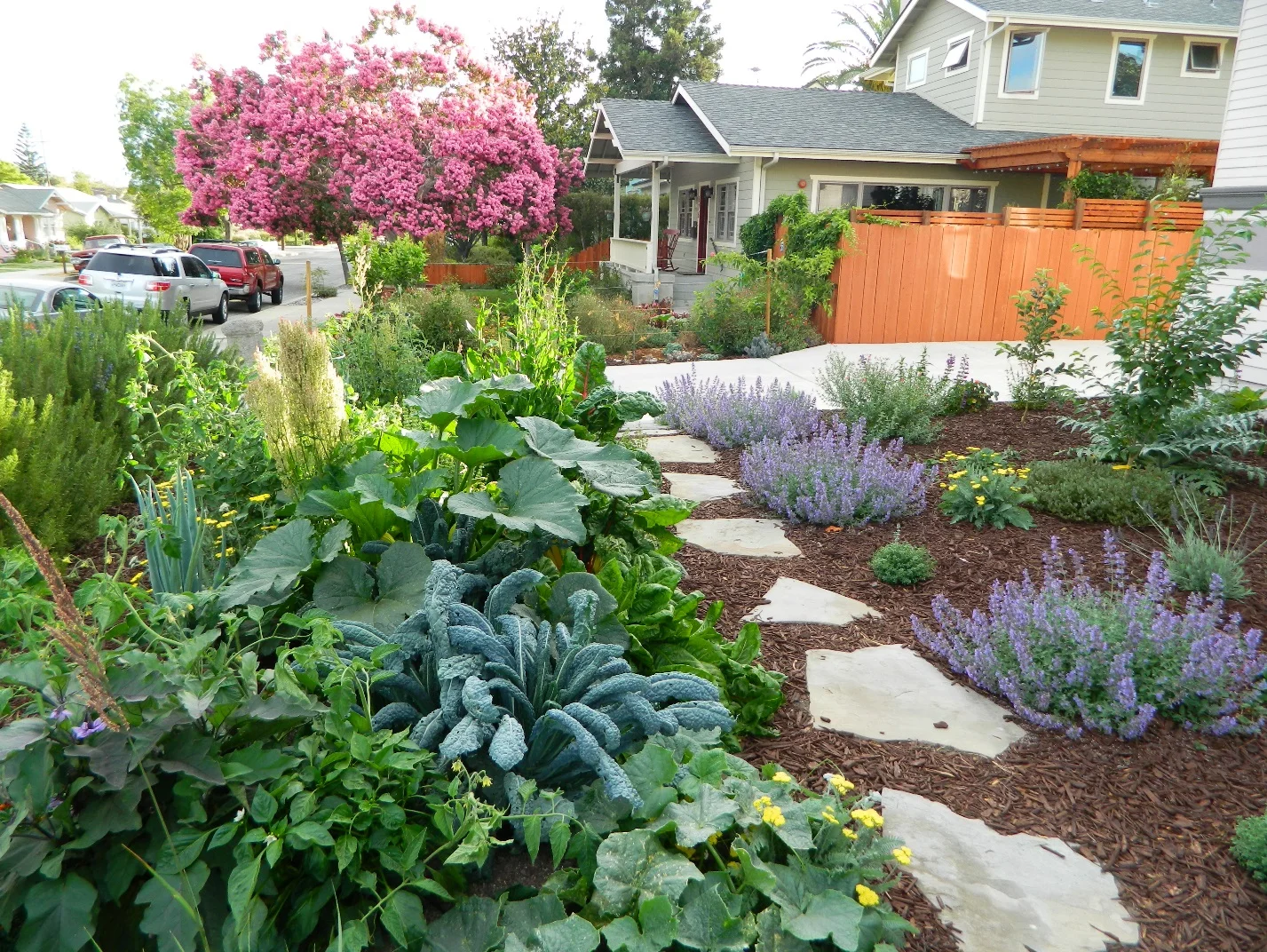 This is what our summer veggie gardens look like in full bloom, most of the plants will be harvestable until November in our climate. After harvesting all of that, you can start seeding and planting for your winter garden. 