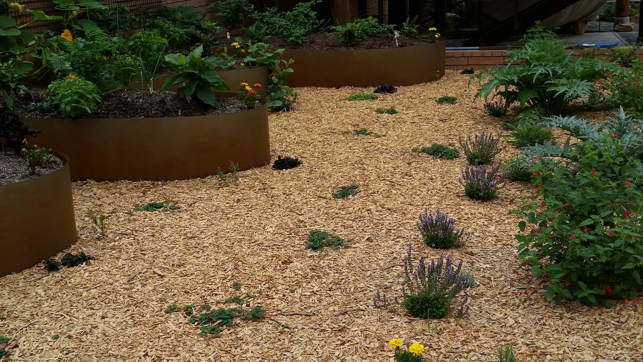 20140807_115950.jpg