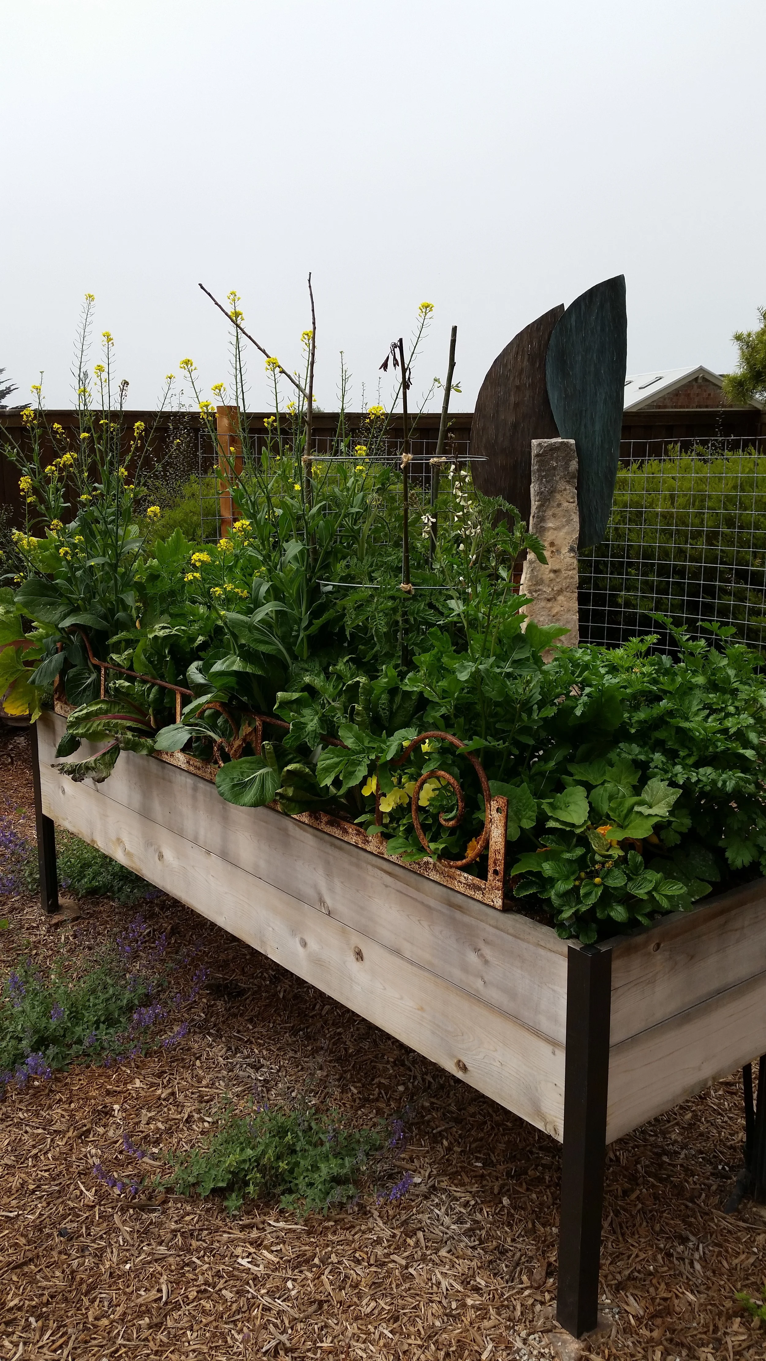 Eckert Raised Bed 1.jpg