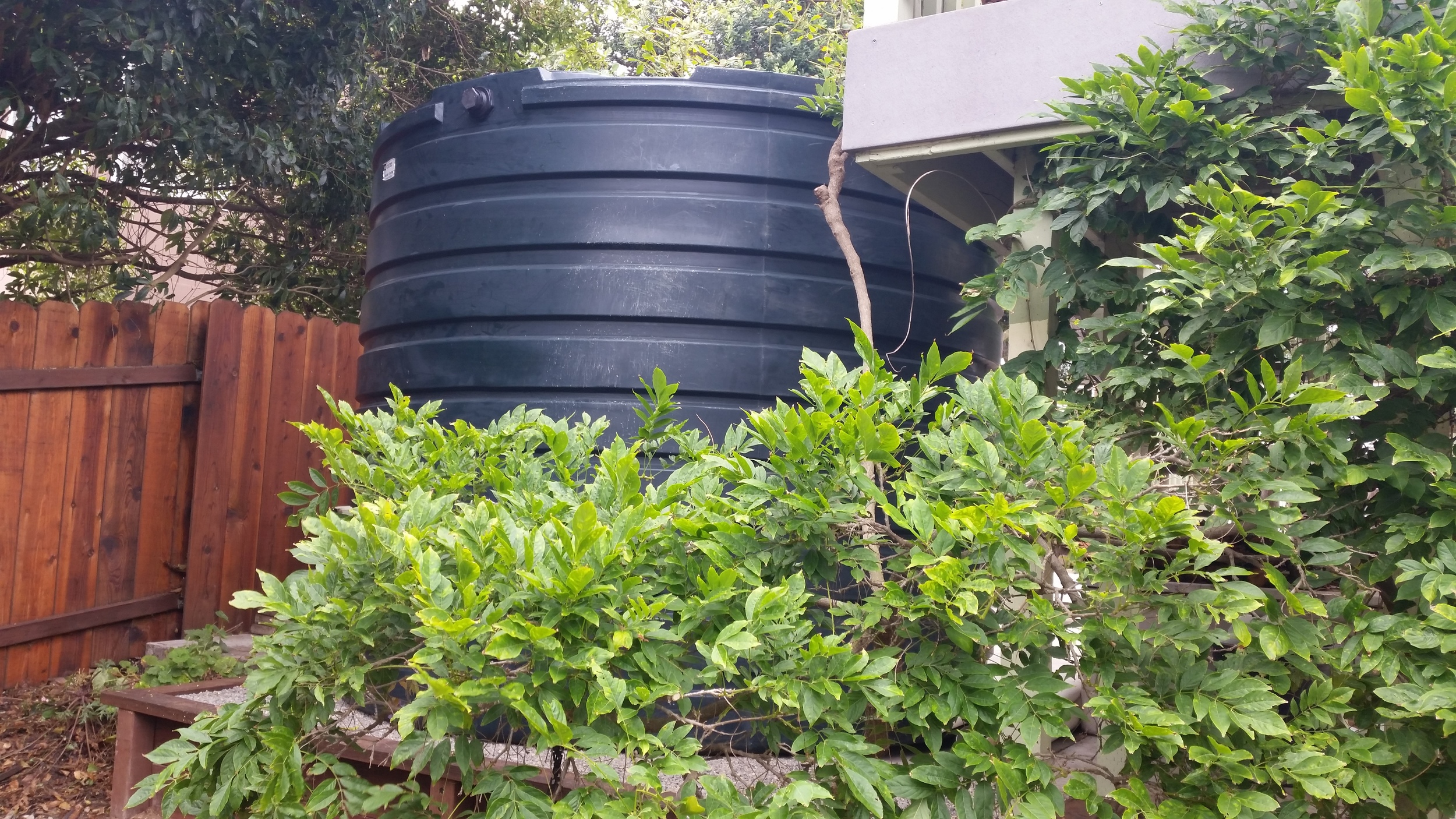 2825 Gallon Rain Tank