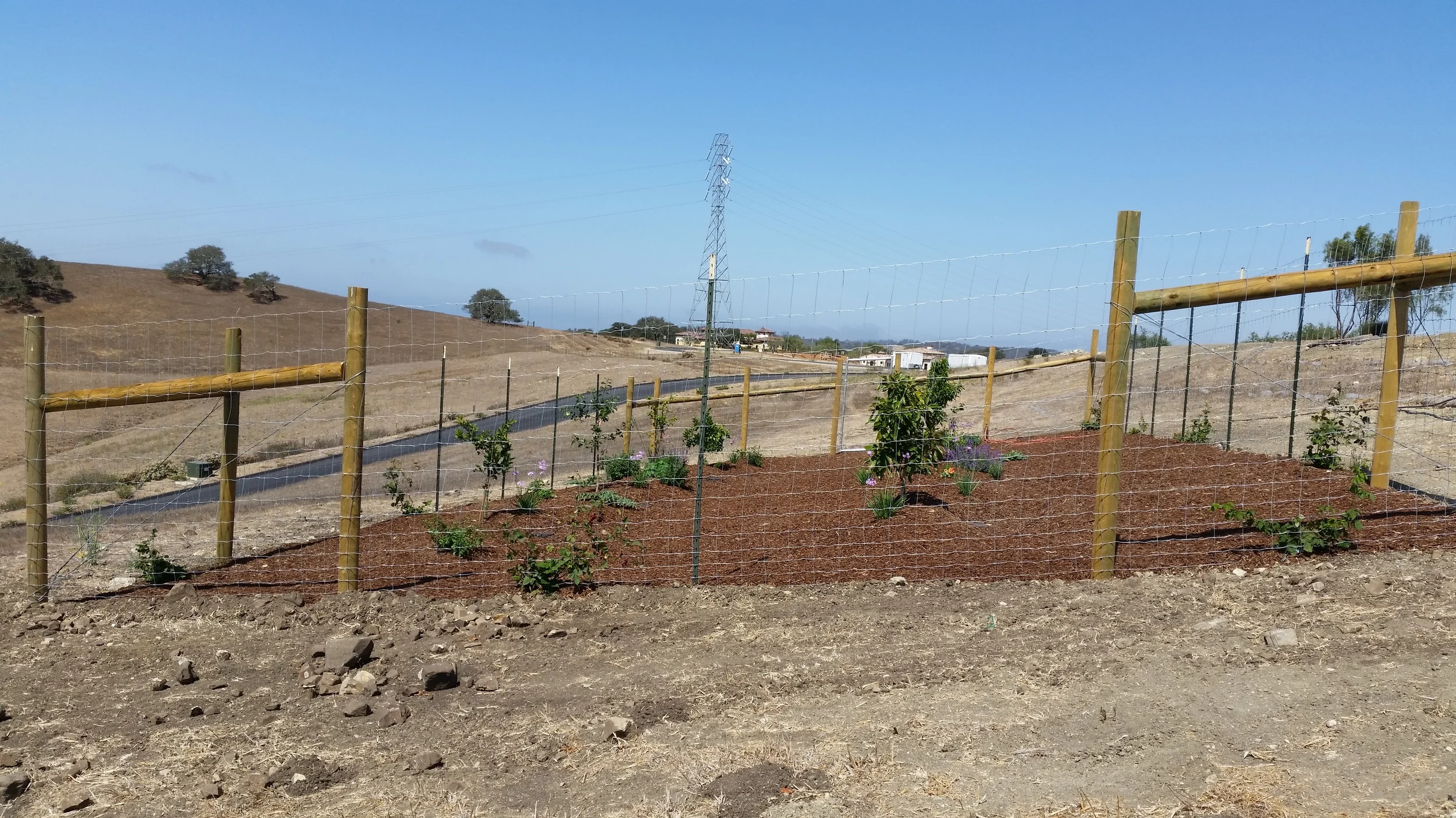 20150714_104114.jpg