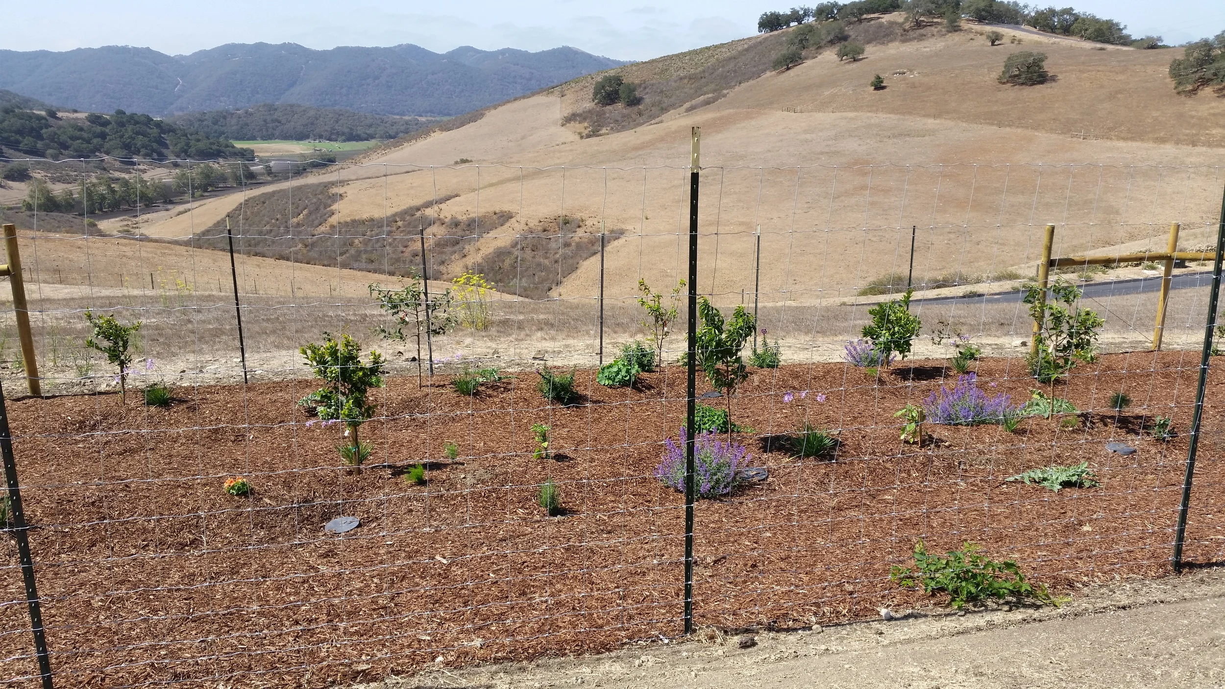 20150714_103433.jpg