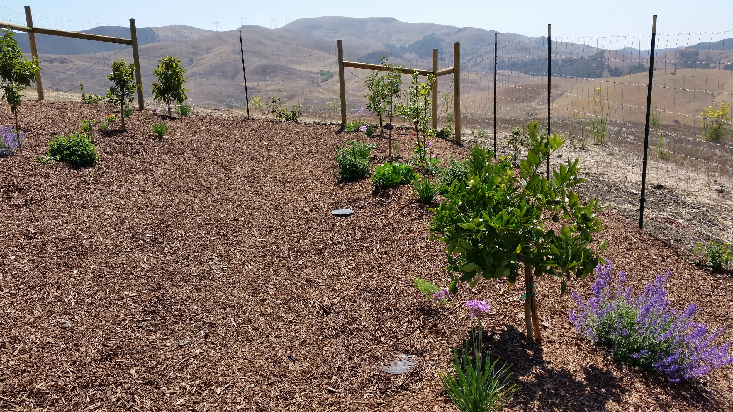 20150714_103823.jpg
