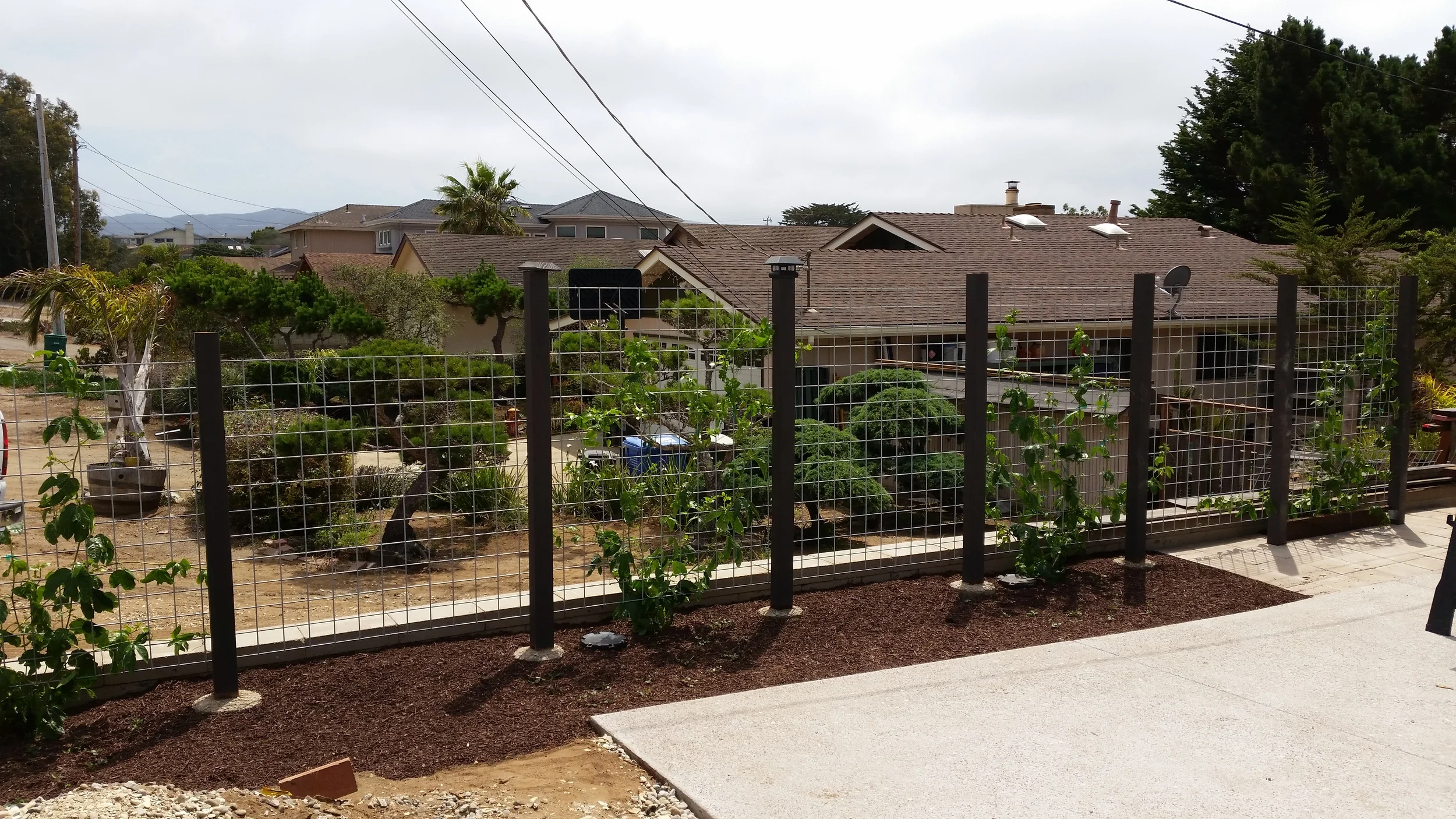 20150730_142007.jpg
