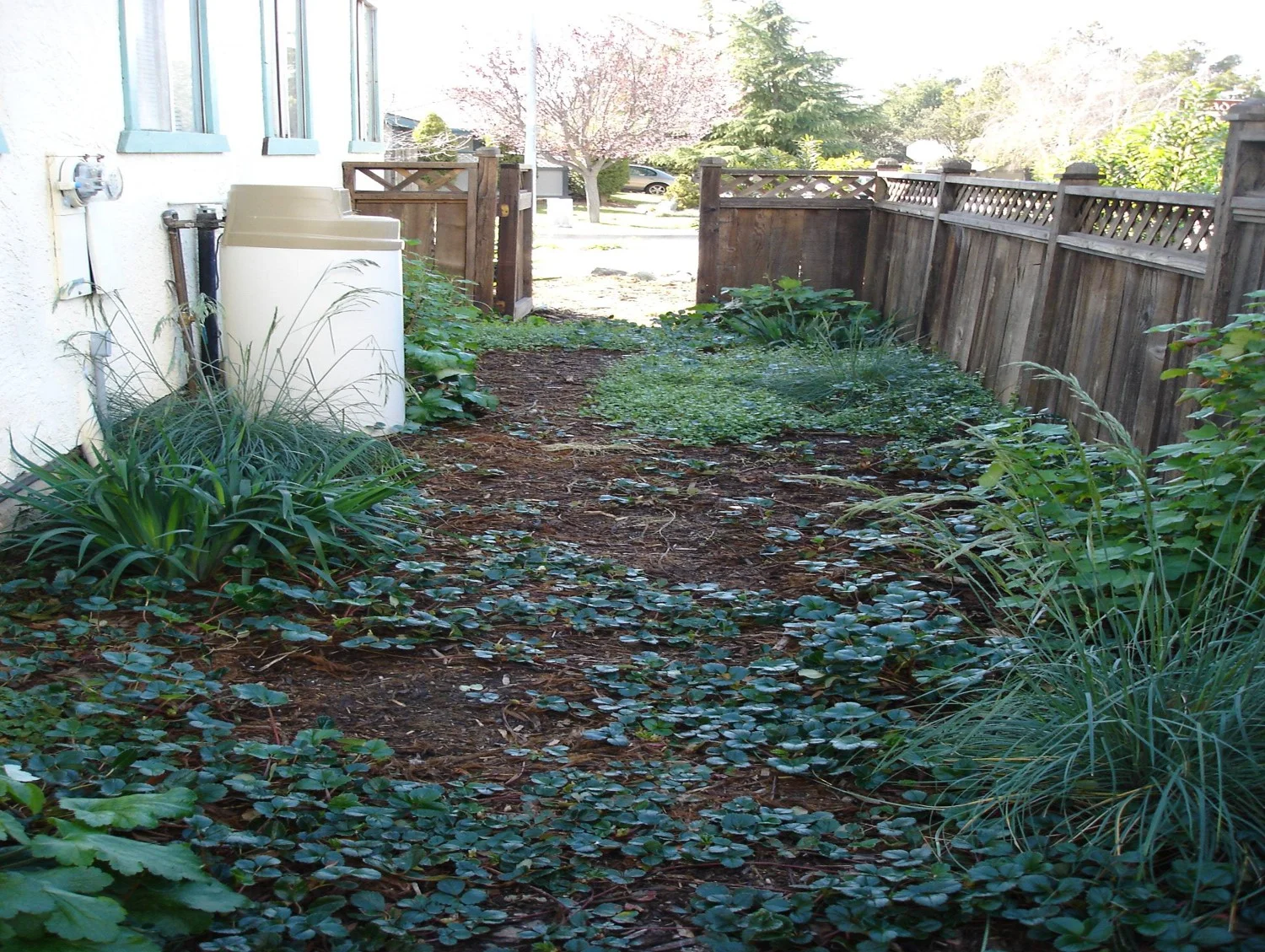 Picture1.jpg