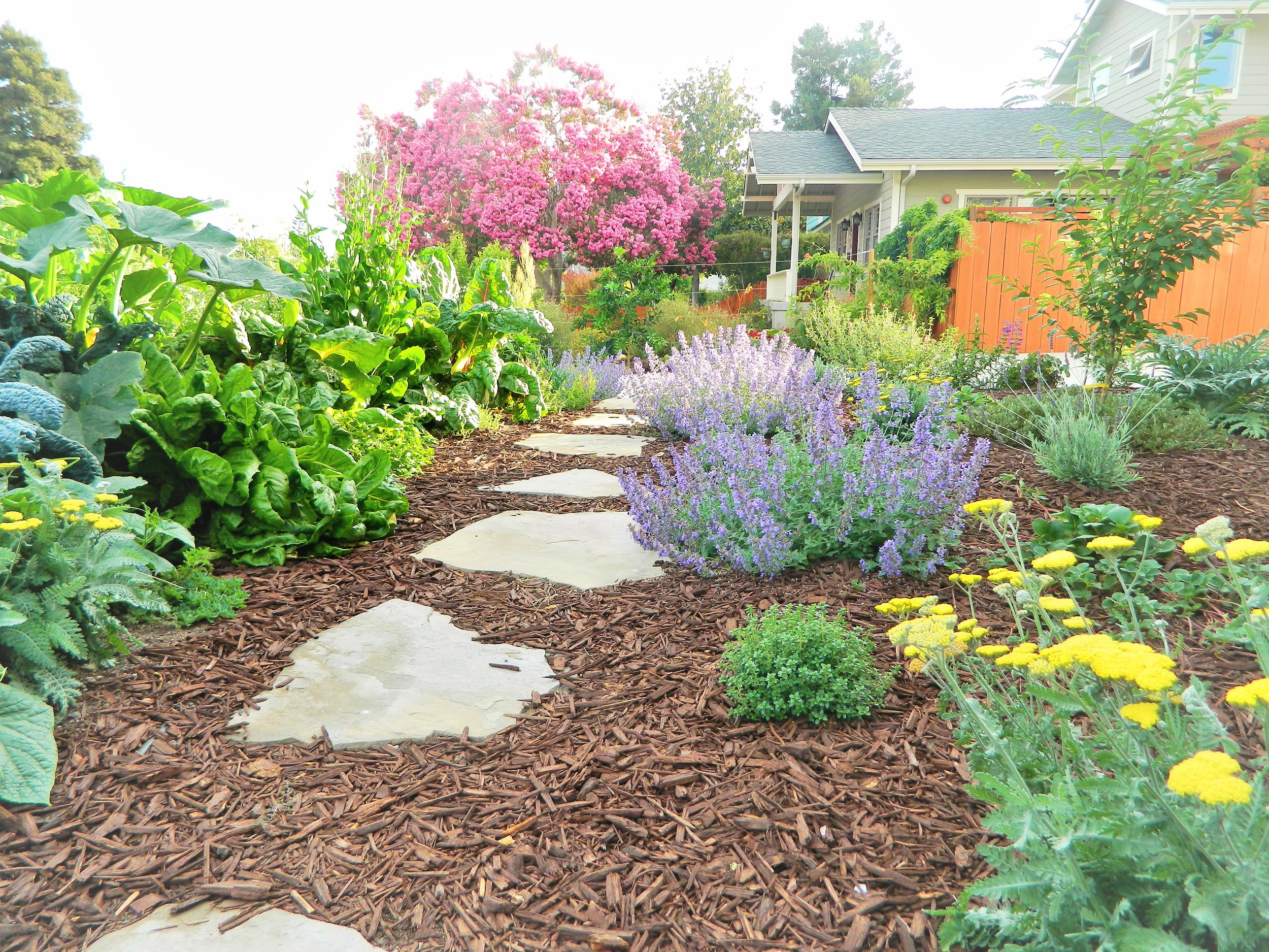 Photo by Carmichael Environmental The overgrown front lawns of a downtown Victorian home were removed and replaced with new “keyhole” beds and a perennial food forest to create an old cottage garden theme with lots of home grown produce to share.