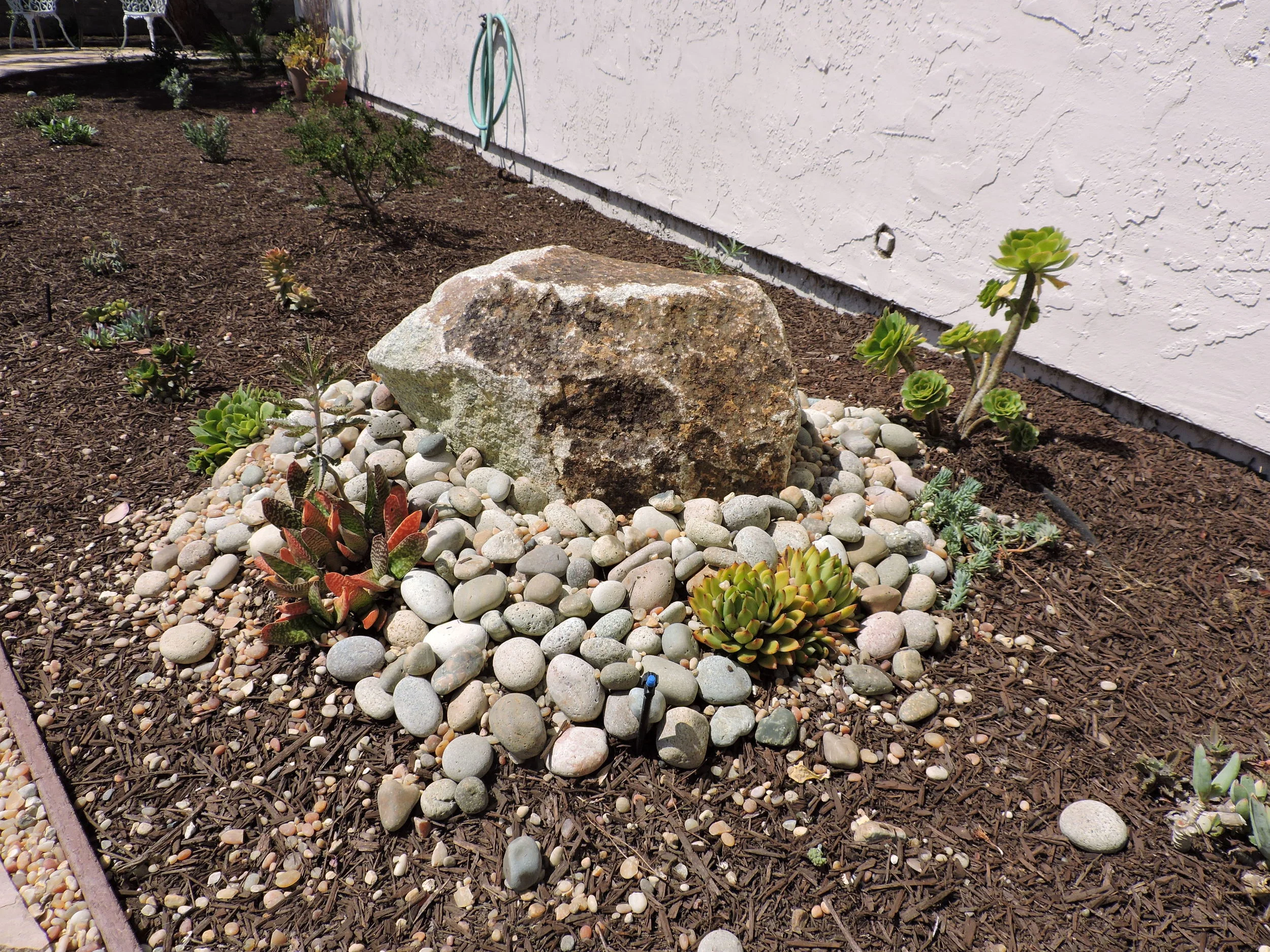 DSCN0400.JPG