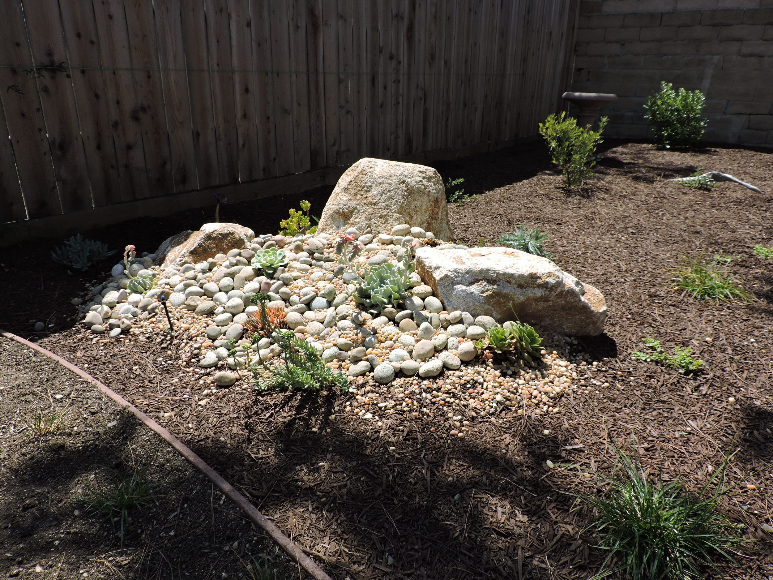 DSCN0409.JPG