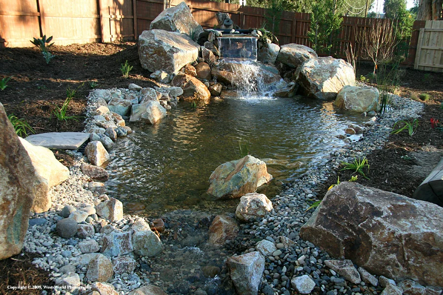 Water Features