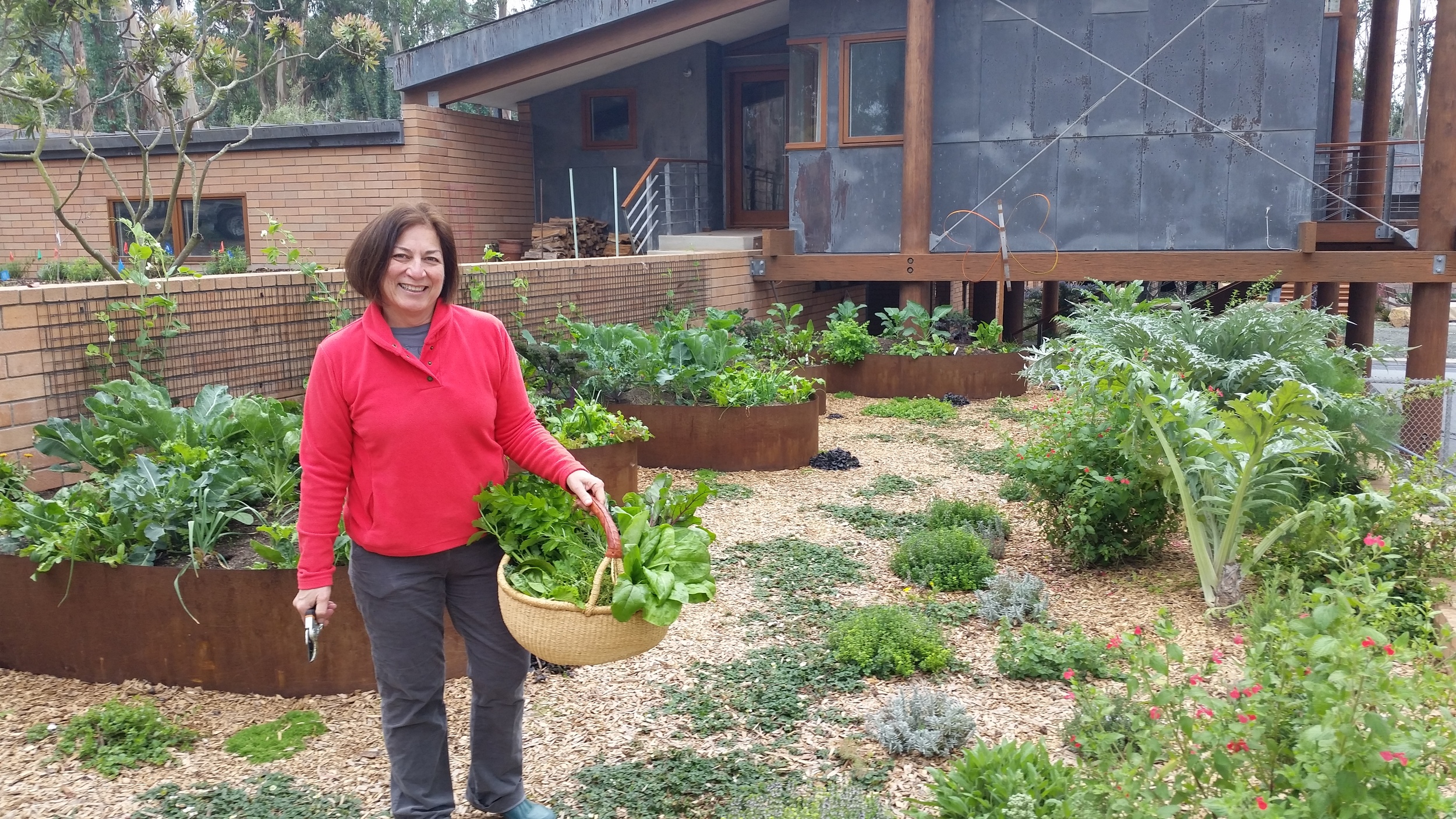 Food Forests and Abundant Veggie Beds
