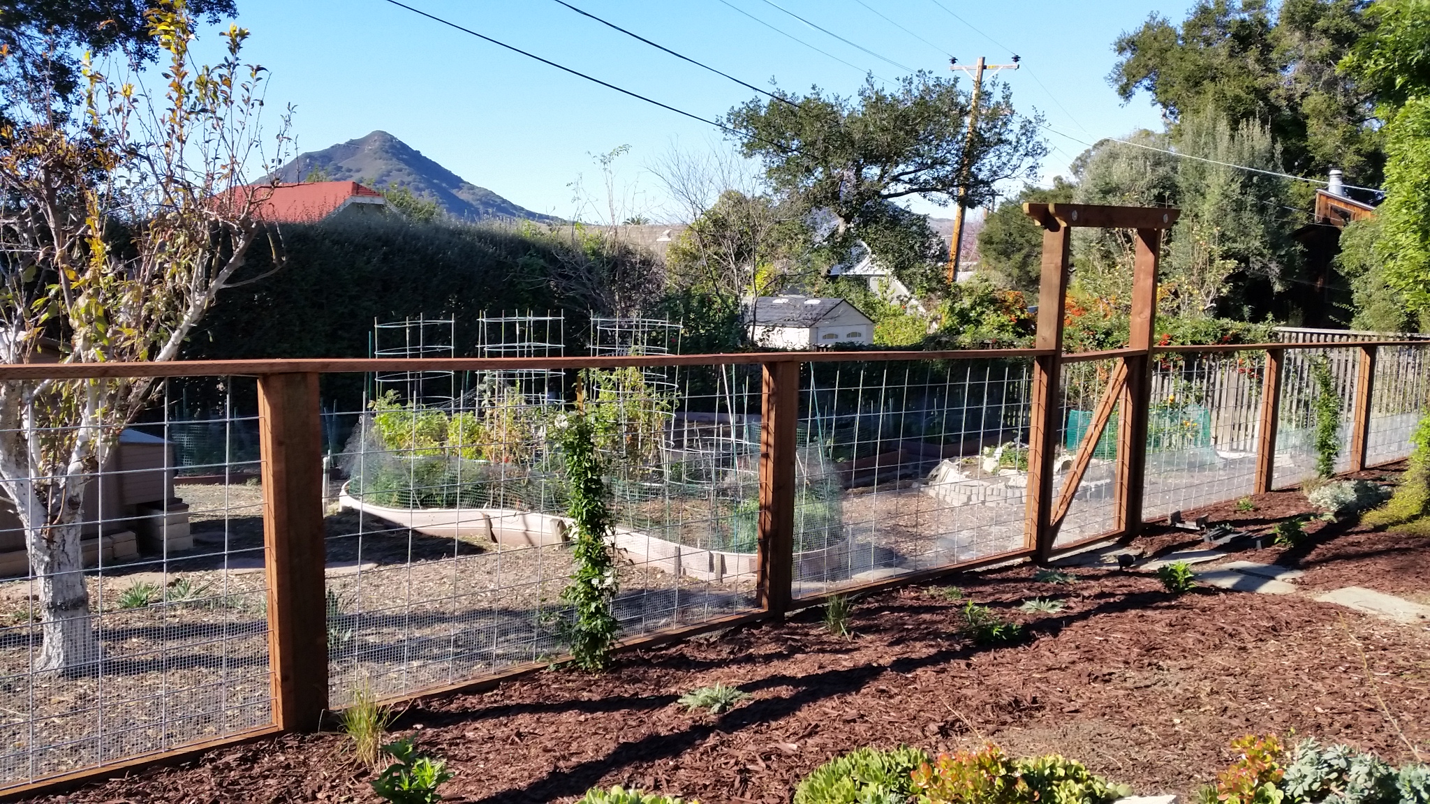  This simple fenceline design was made to corral the chickens but keep an open view into the back gradens. Vines were planted to fill in sections of fence along with other flowering shrubs and grasses to create a soft border between the different gar