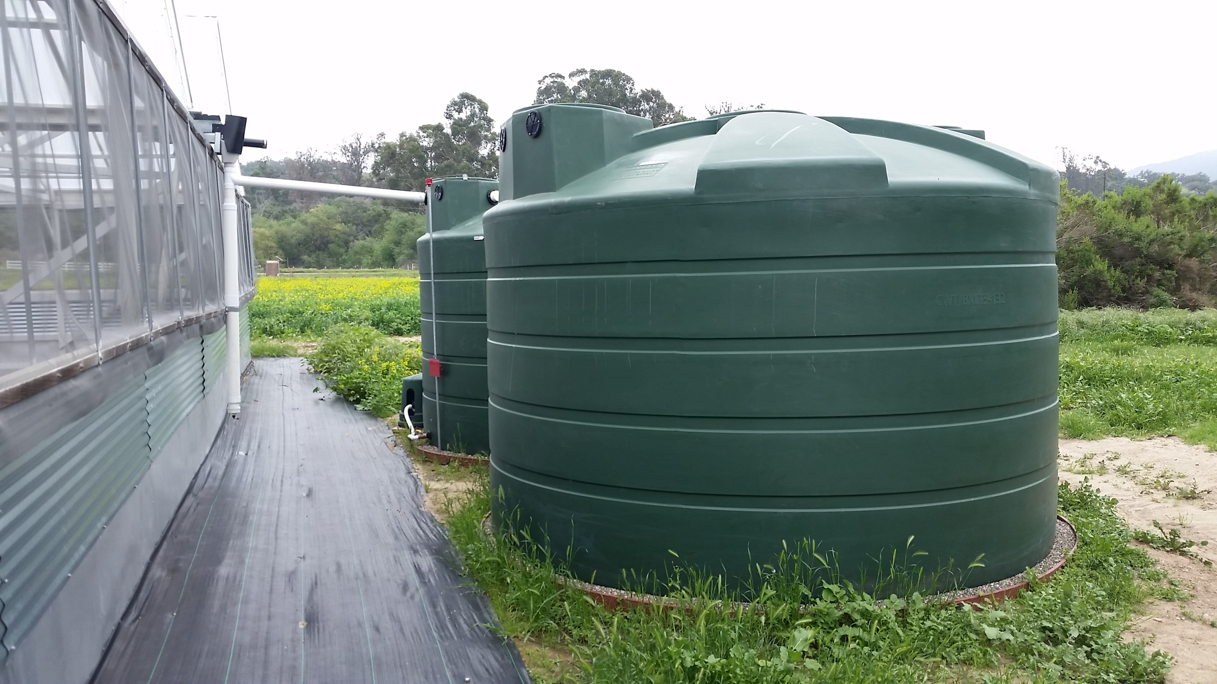 Two 5,000 Gallon Tanks for a Greenhouse with Bioswale Overflow